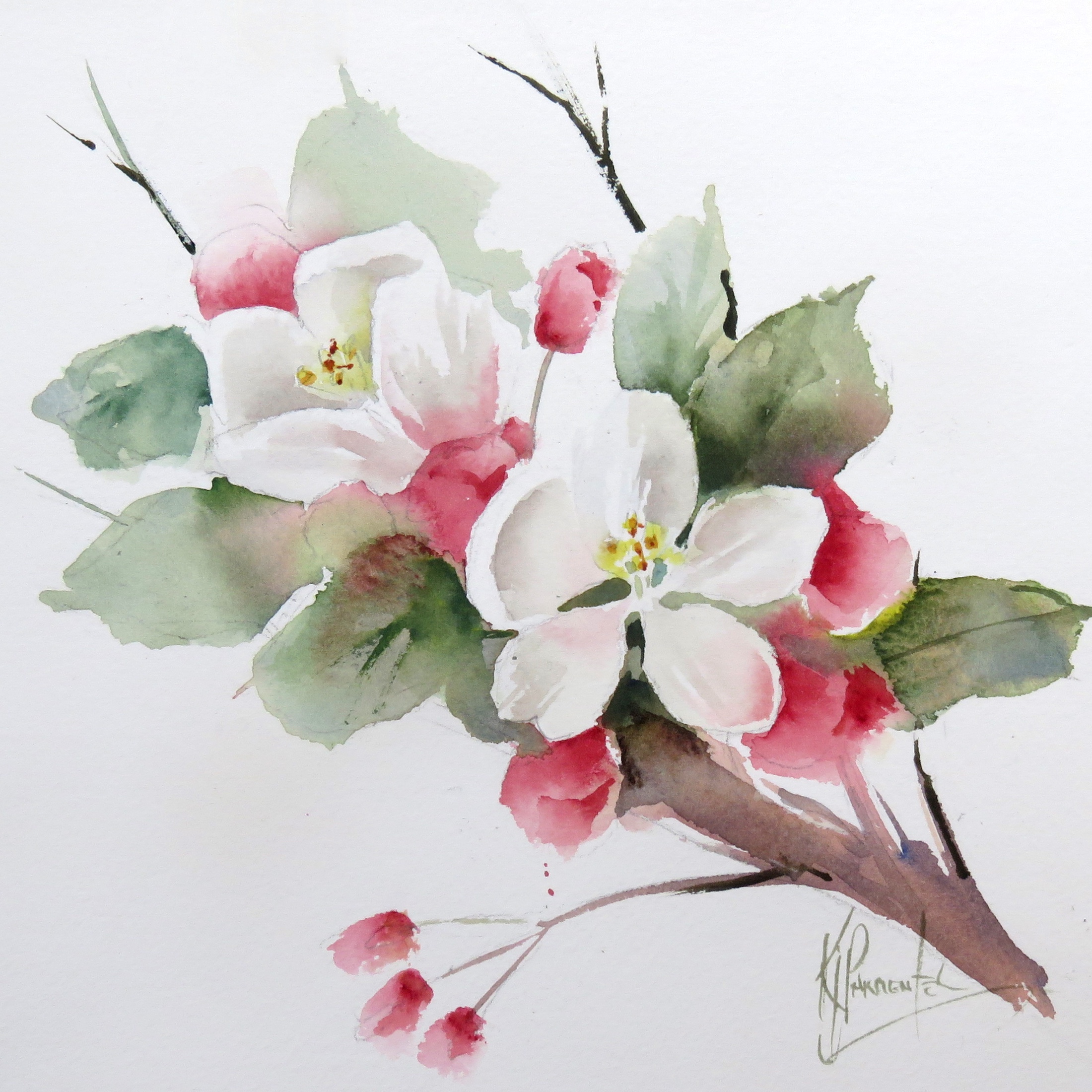 Apple Blossom – online tuition