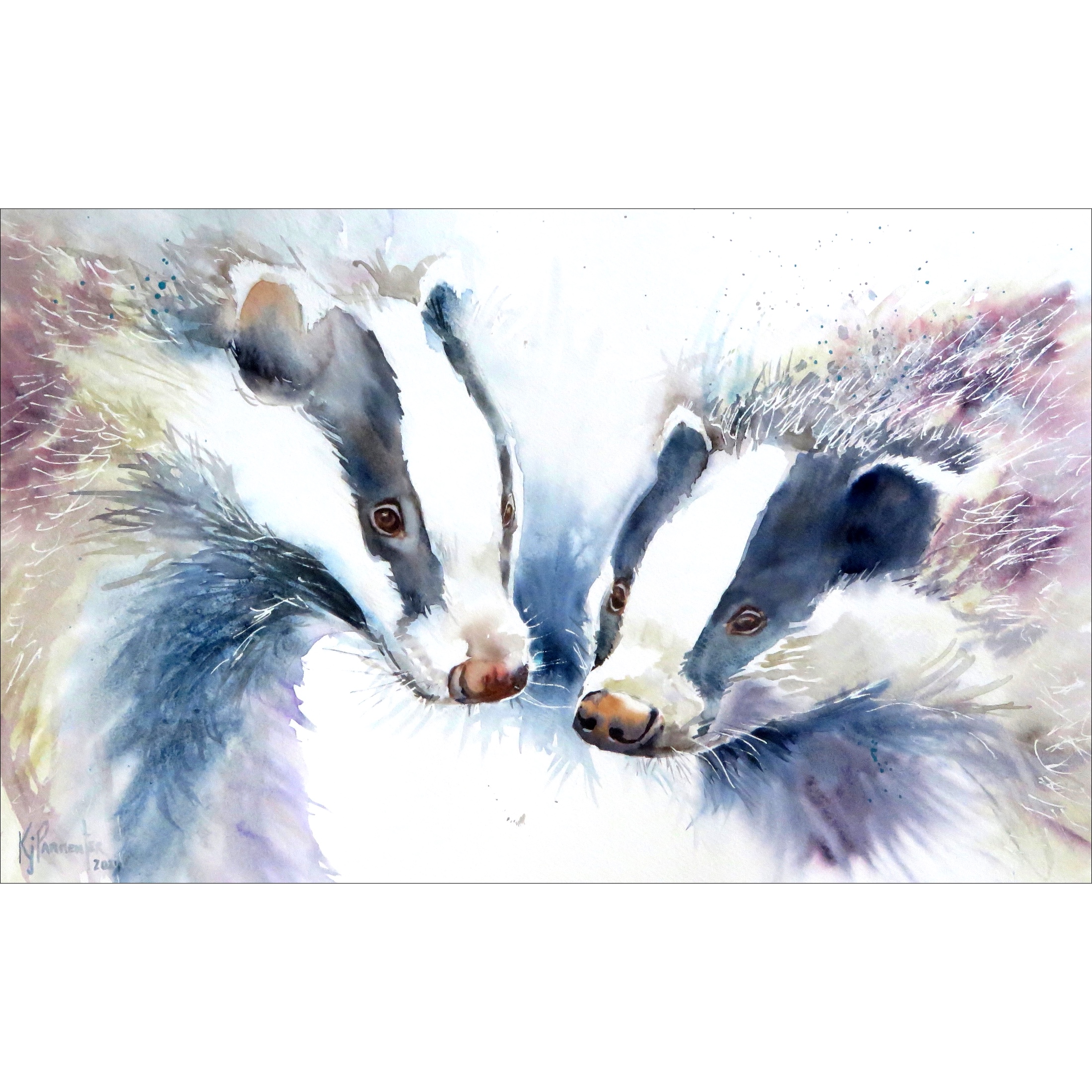 Badger Double Trouble