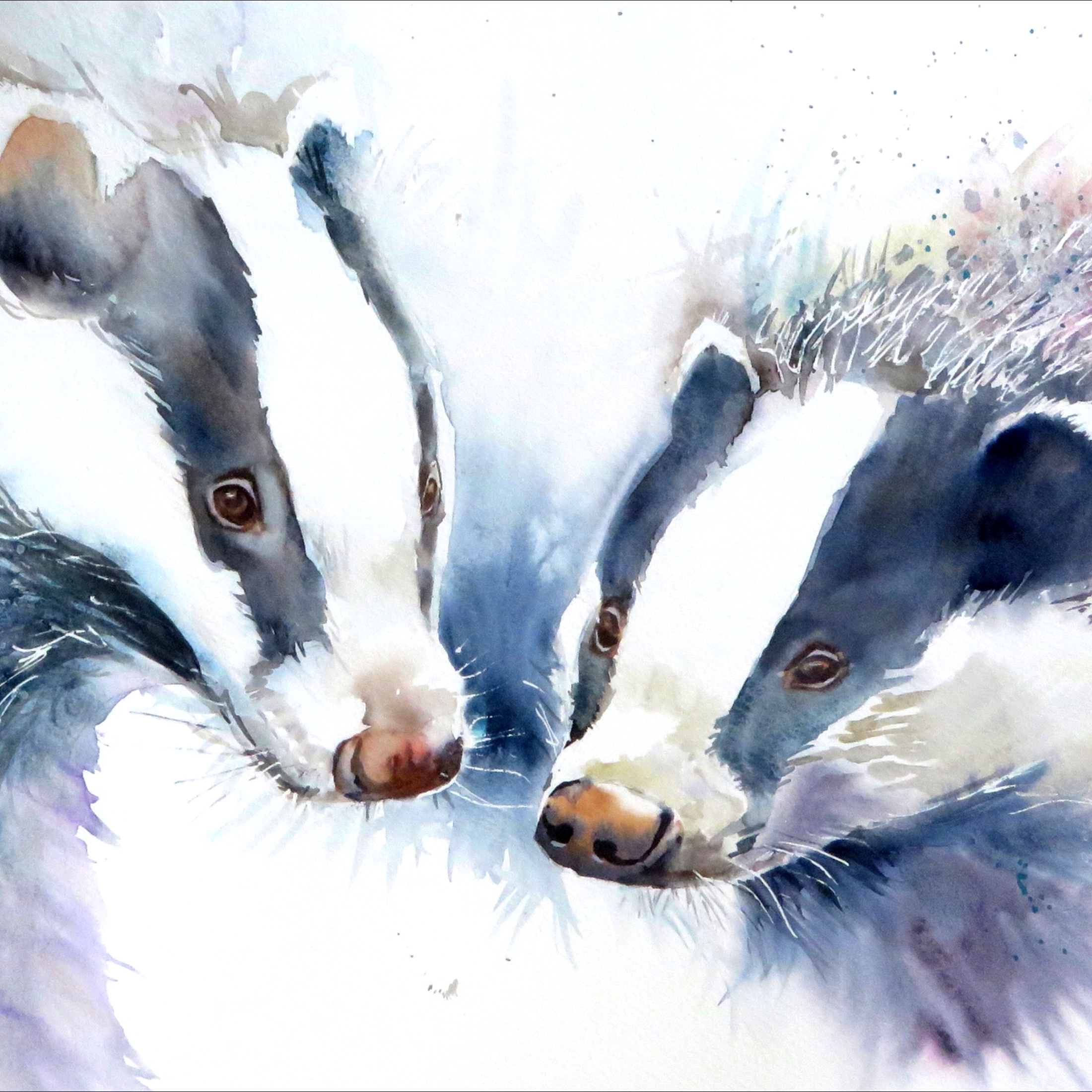 Badger Double Trouble