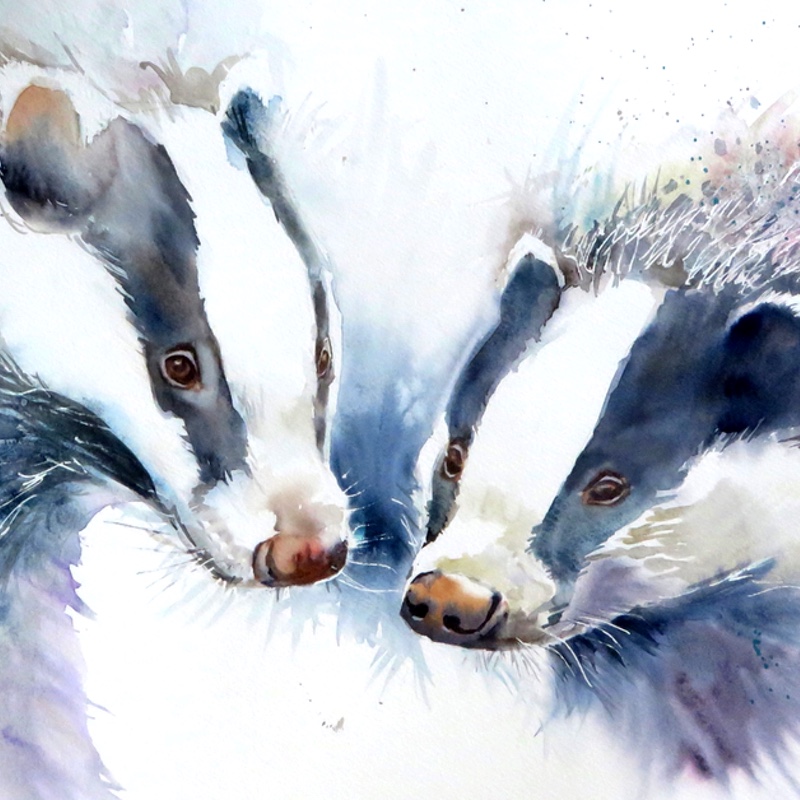 Badger Double Trouble