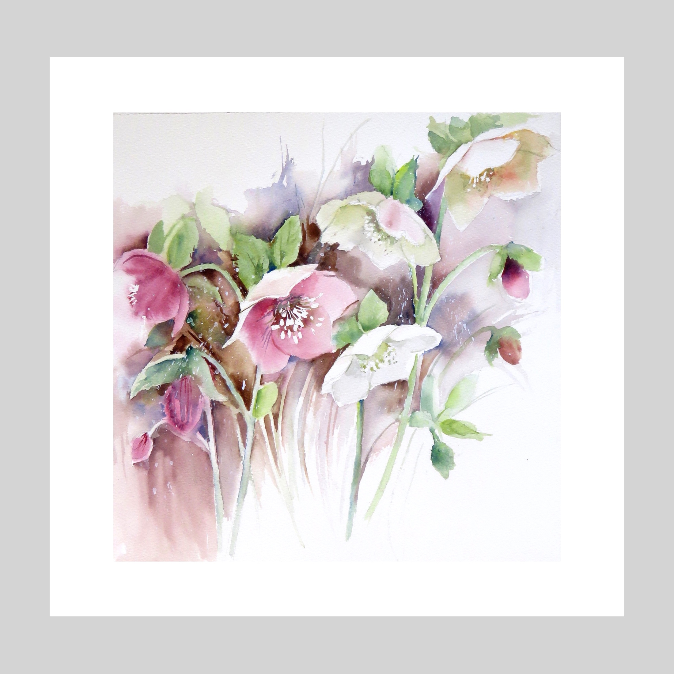 Hellebore Spring Card