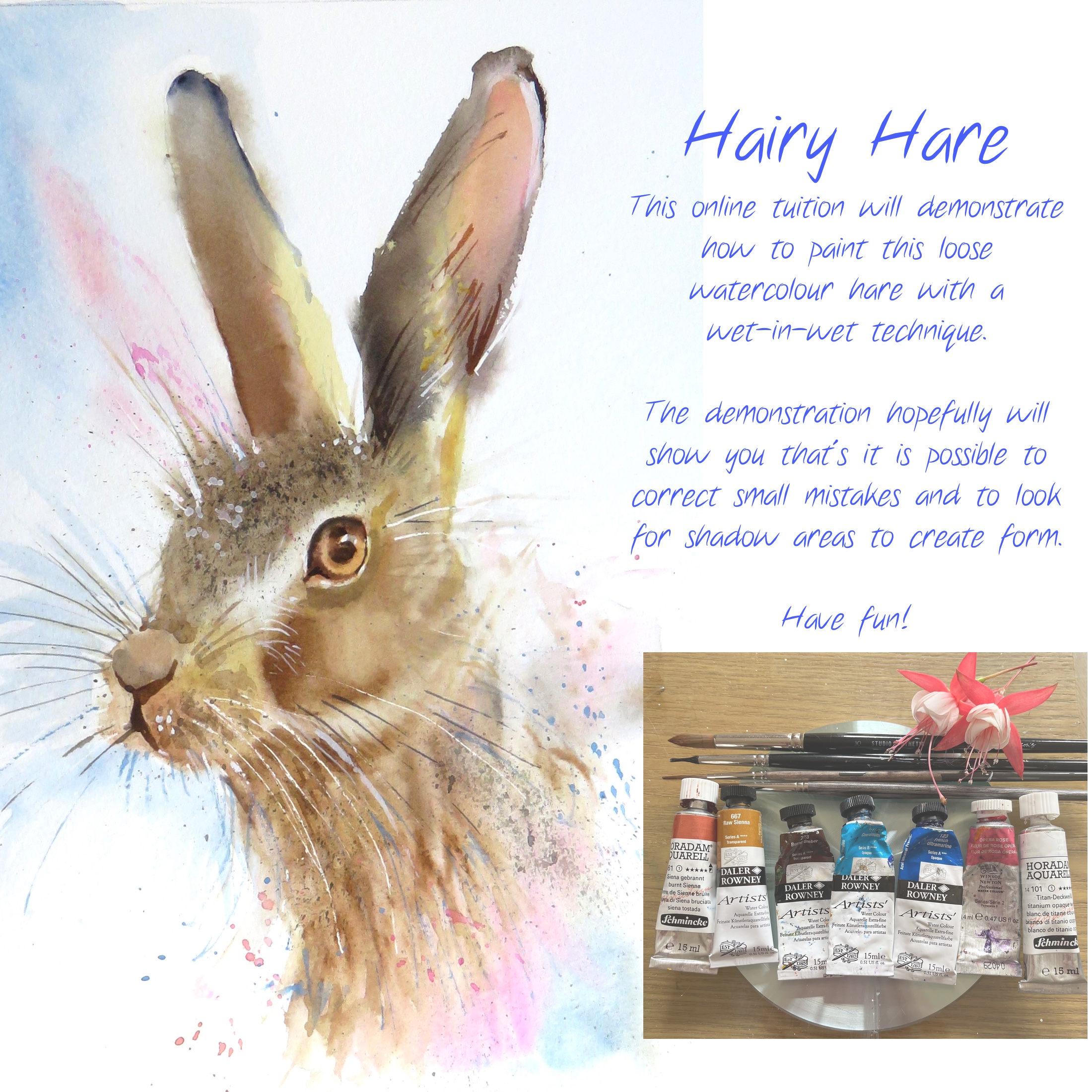 Hairy Hare – online tuition