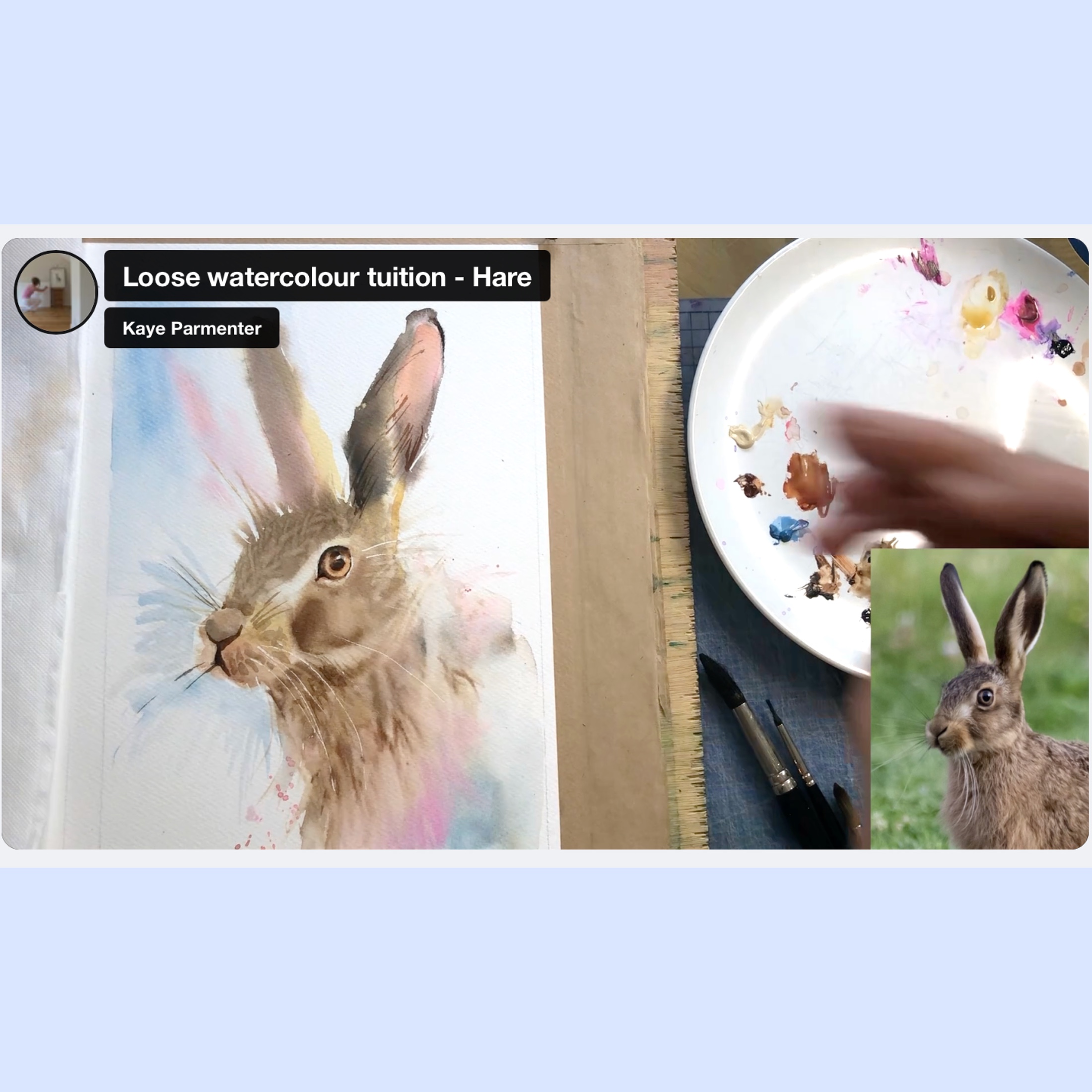 Hairy Hare – online tuition