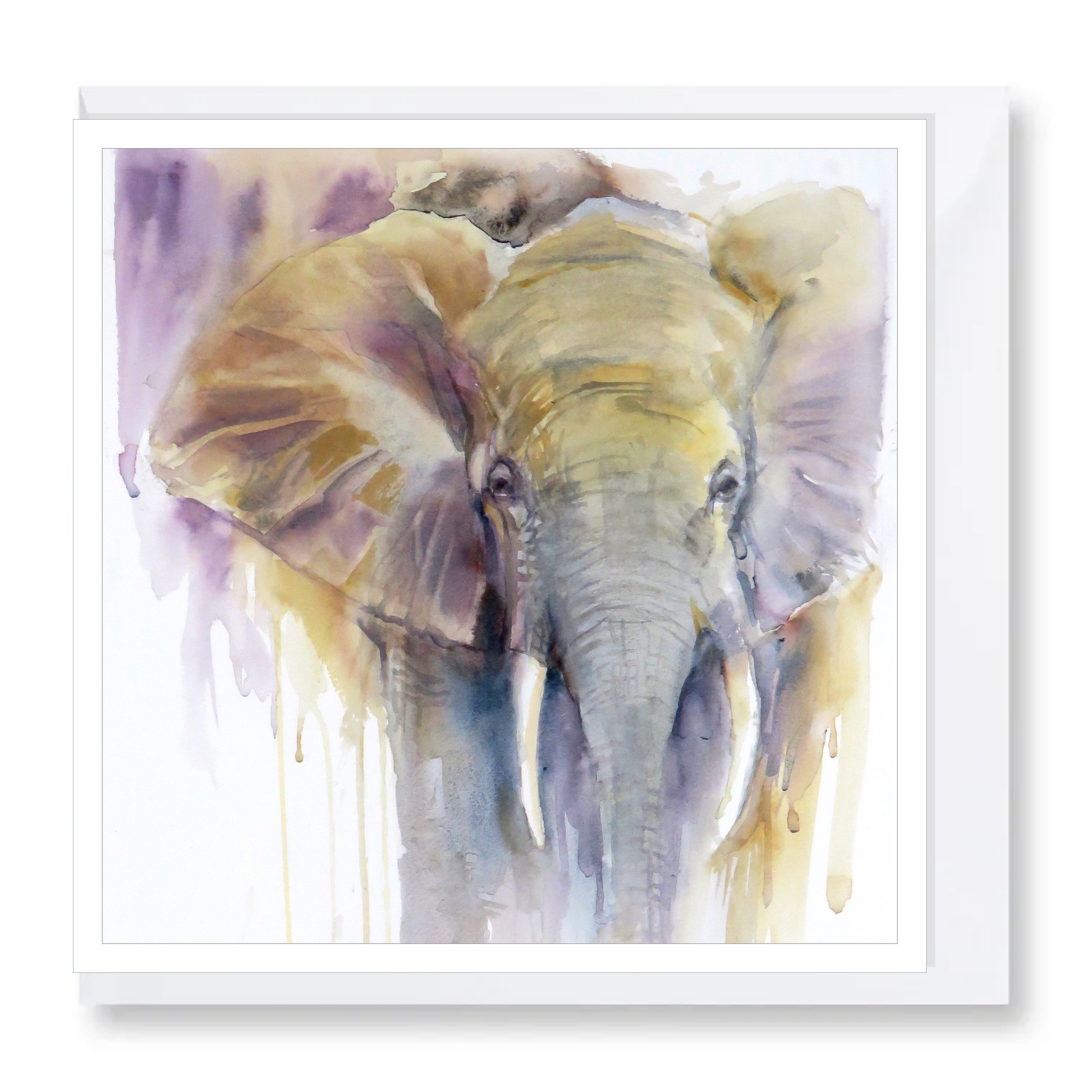 African Bush Elephant – card