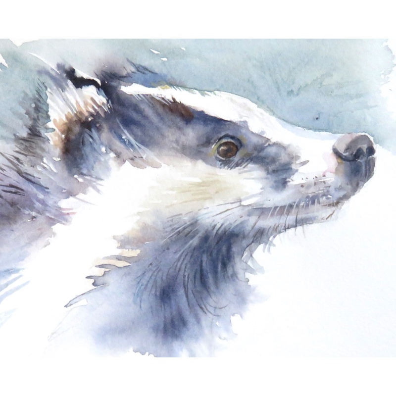 Badger Glimpse