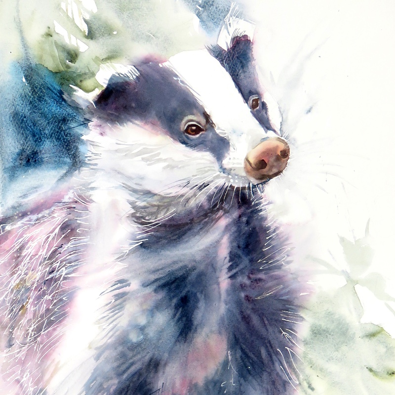 Badger Watching (Sold)