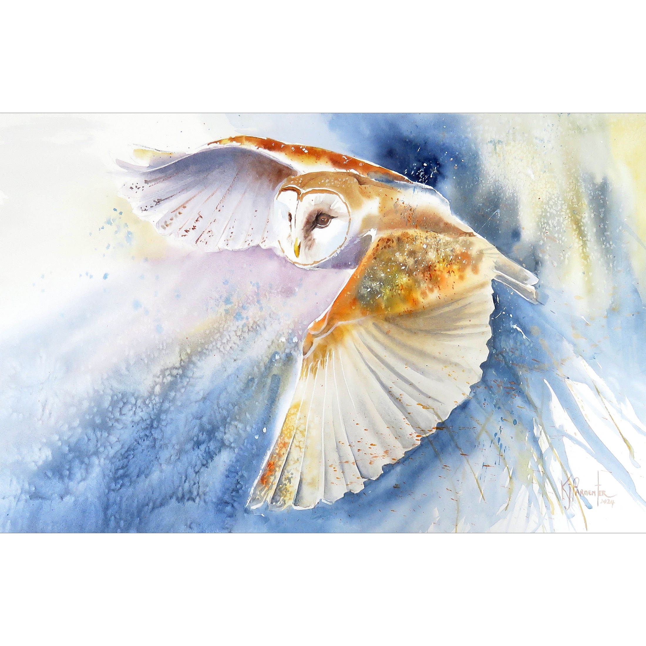 Barn Owl Swiftly