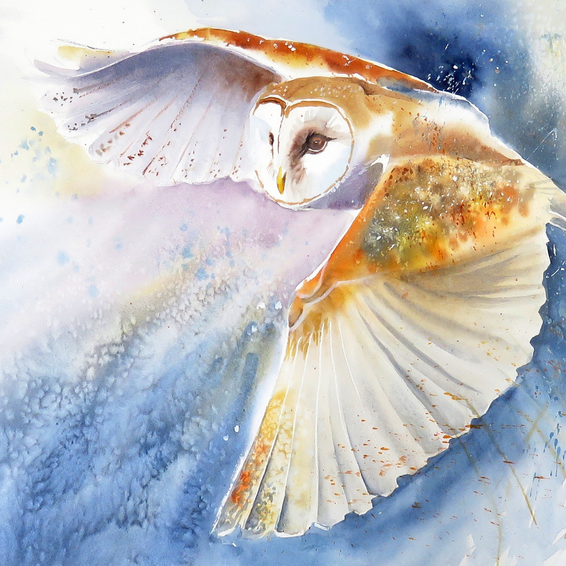 Barn Owl Swiftly