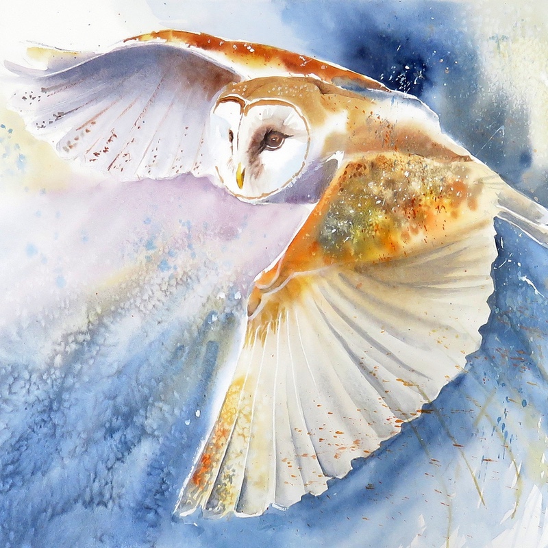 Barn Owl Swiftly