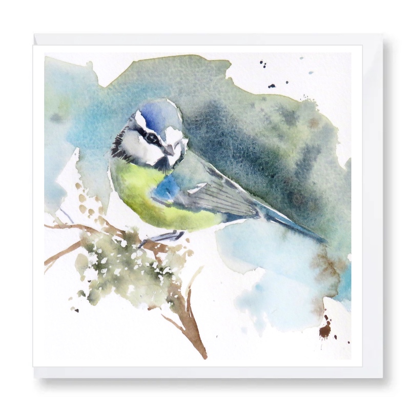 Bluetit Visit Card