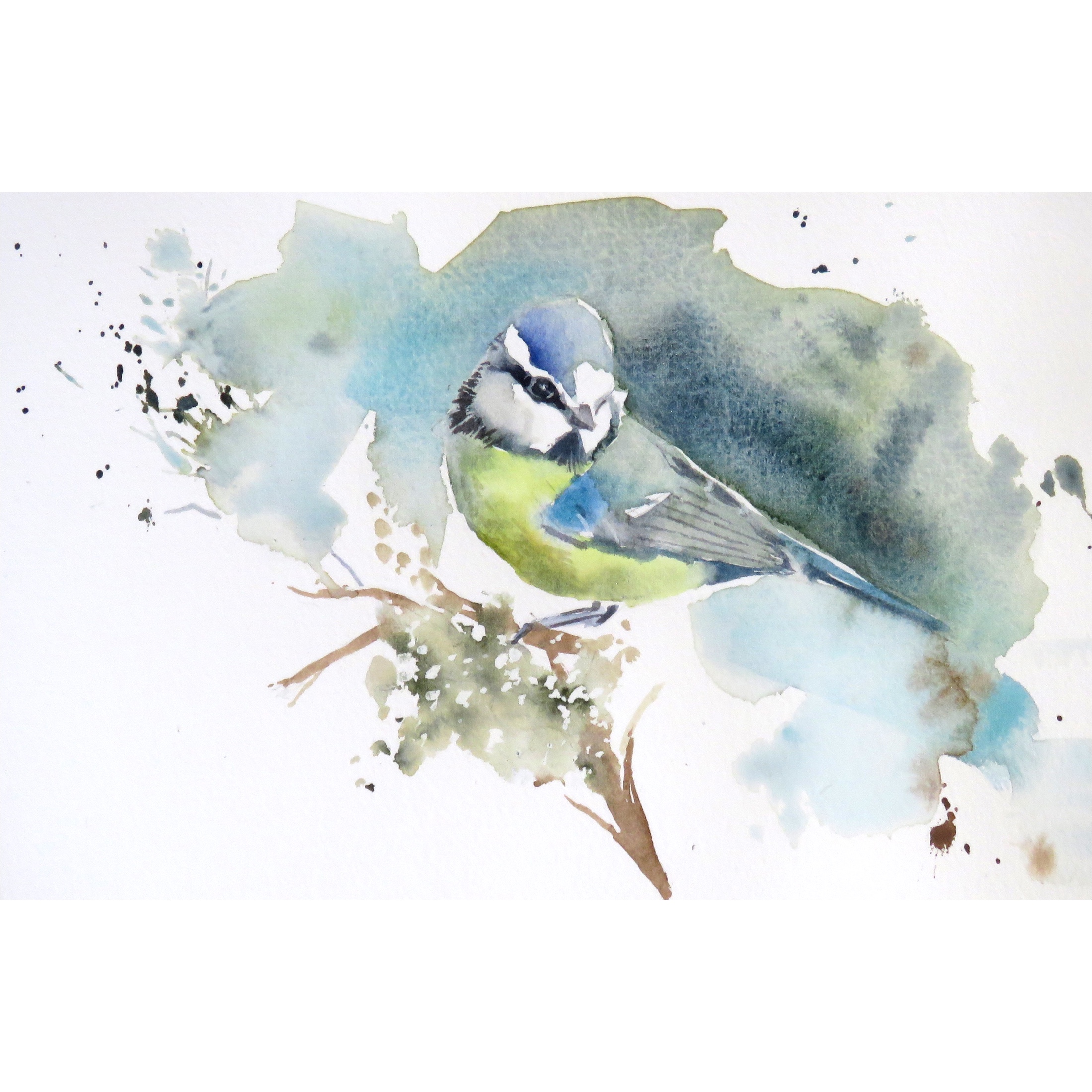 Bluetit Visit