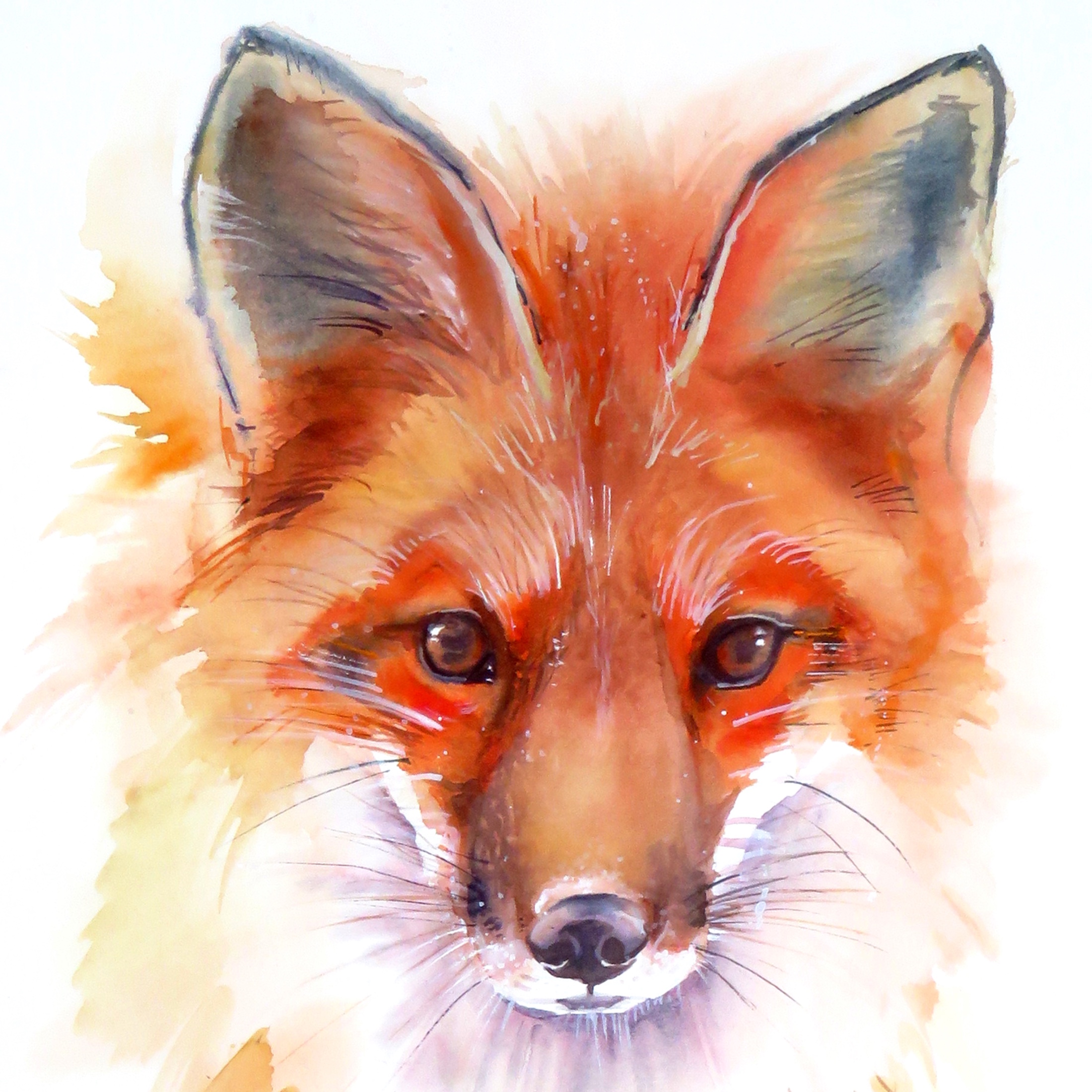 Fox Red