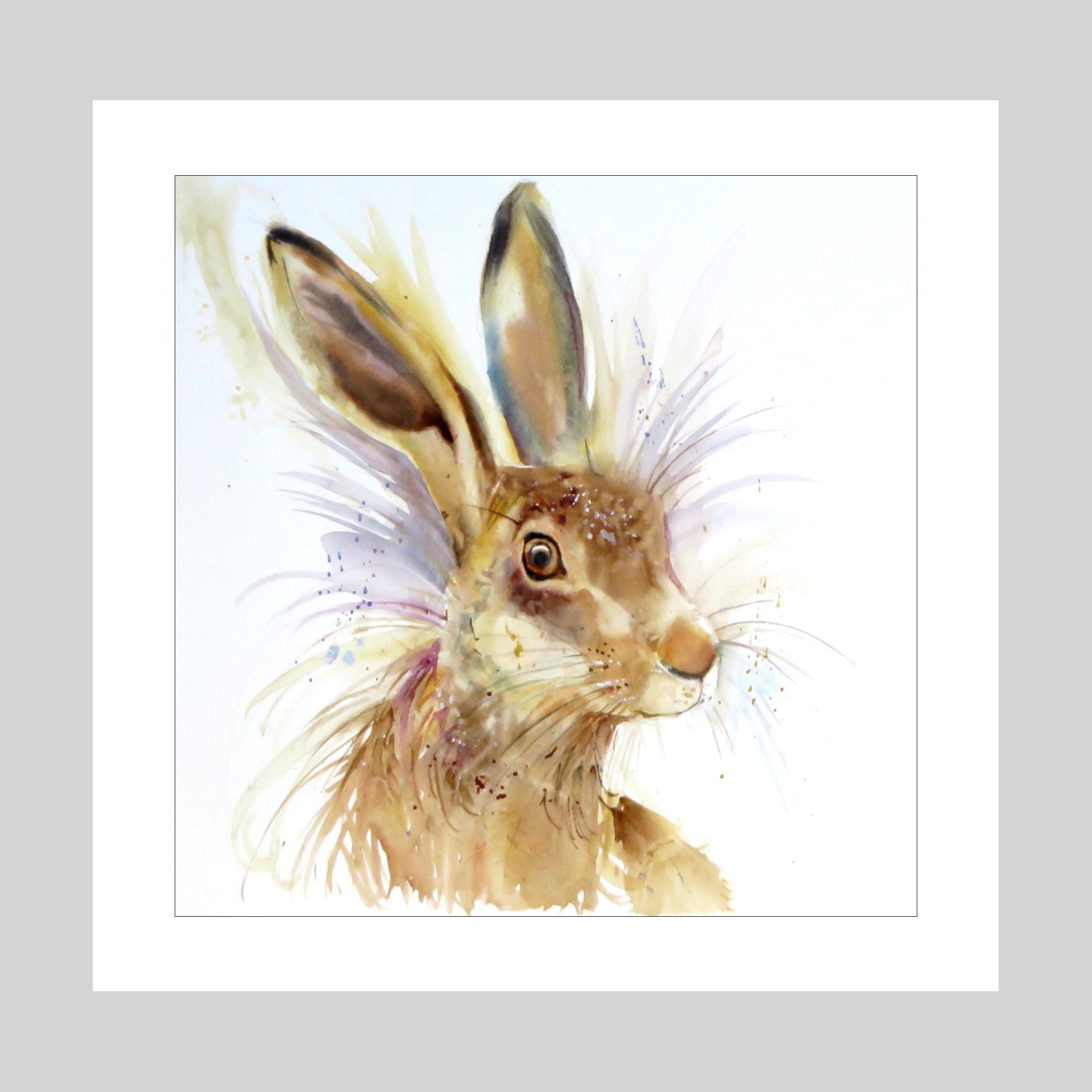 Hare today (Sold)