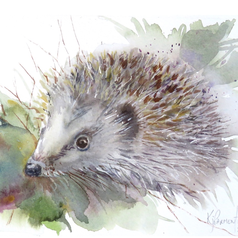 Hedgehog Peek