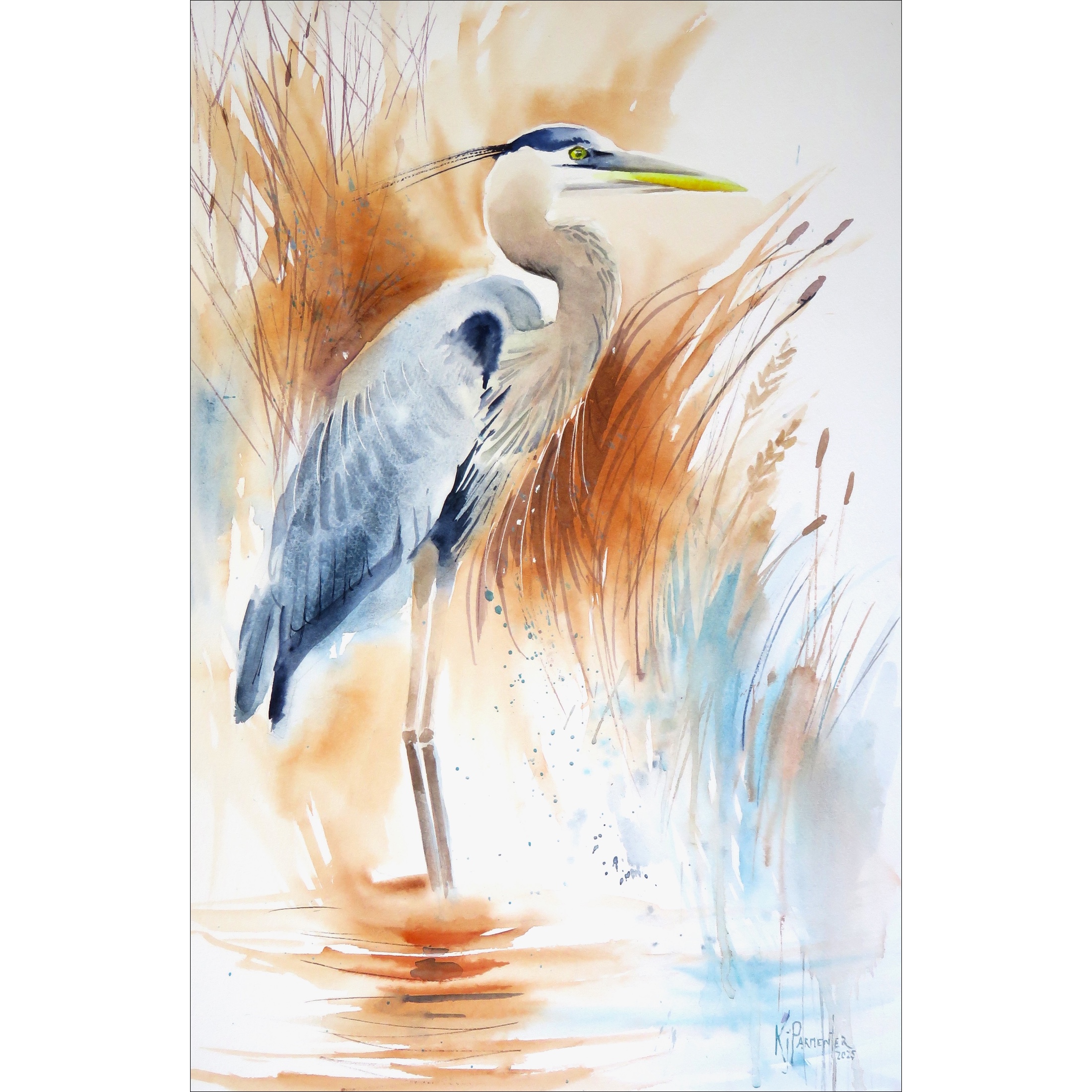 Watching from the reeds