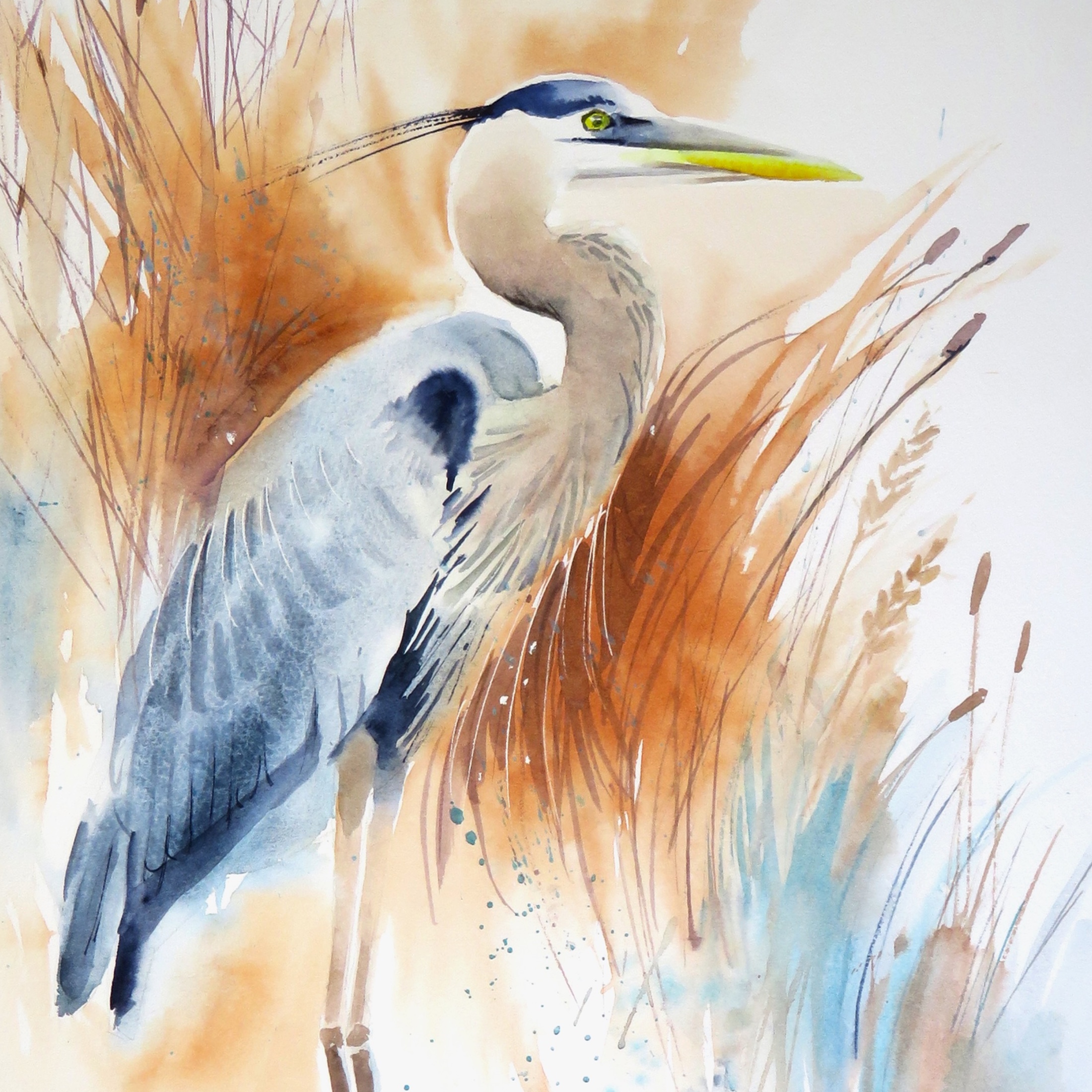 Watching from the reeds