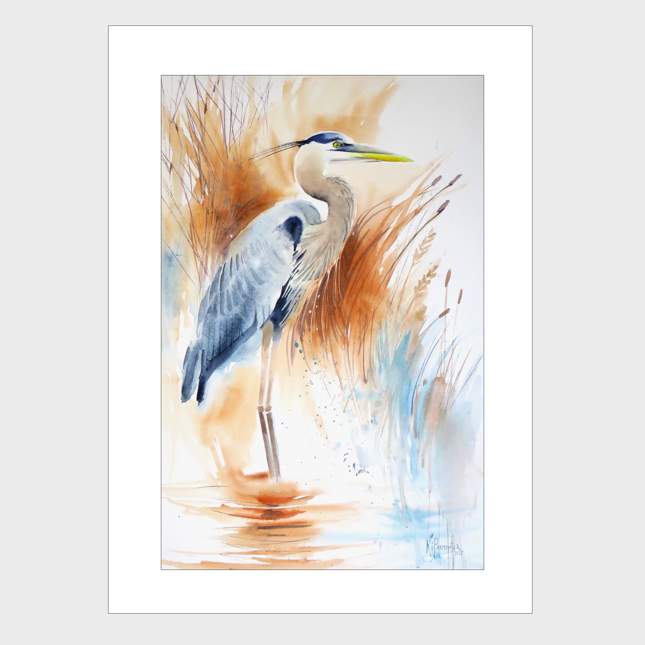 Watching from the reeds