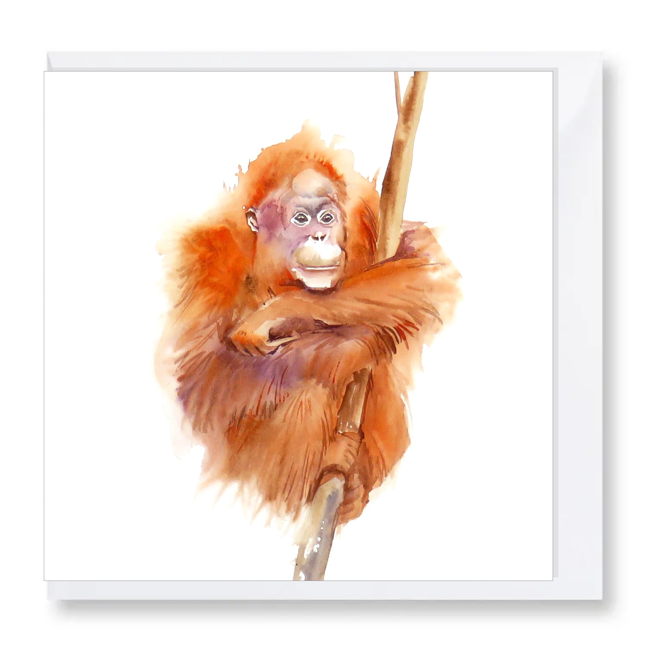 Orangutan Just Hanging – card