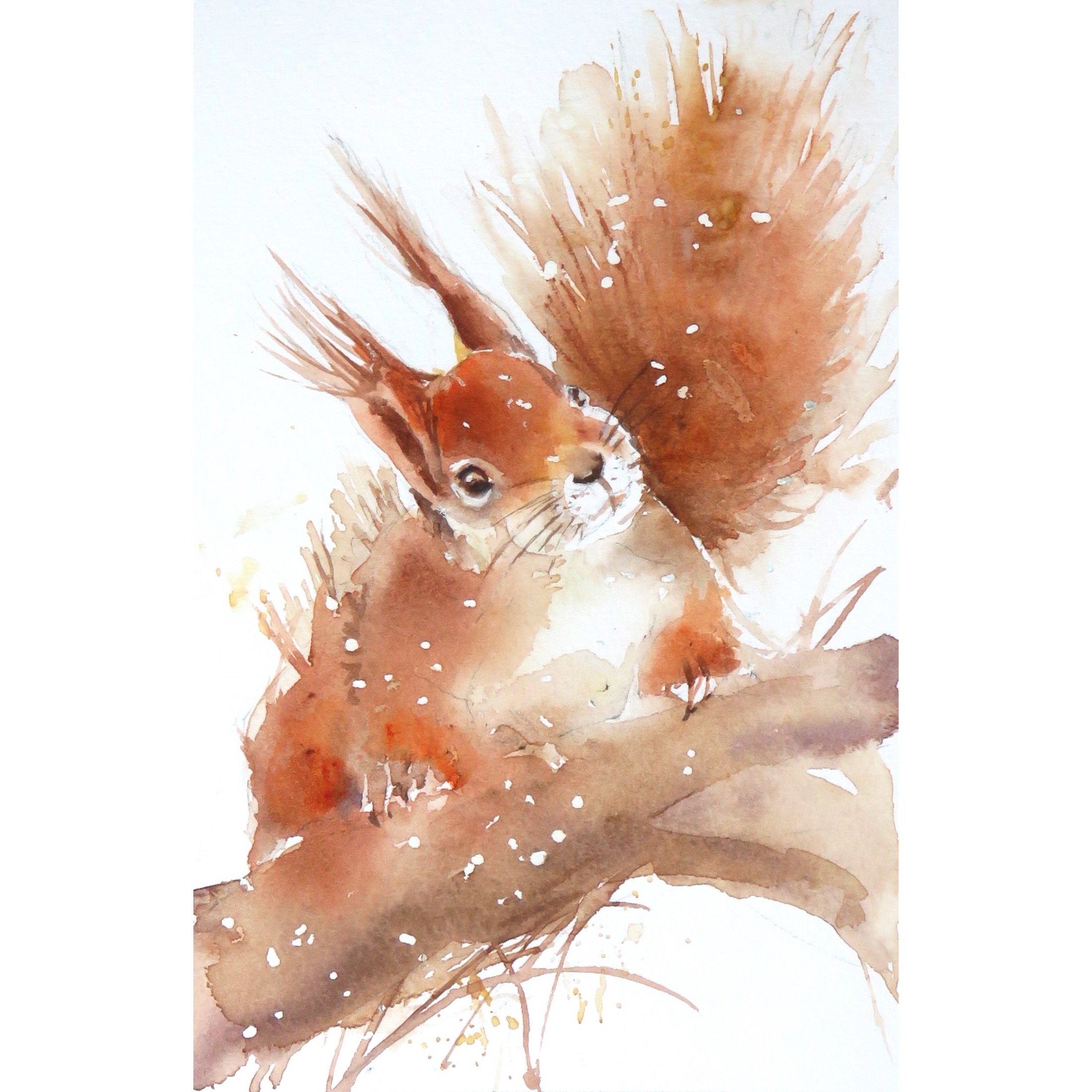 The Nut Collector (Sold)