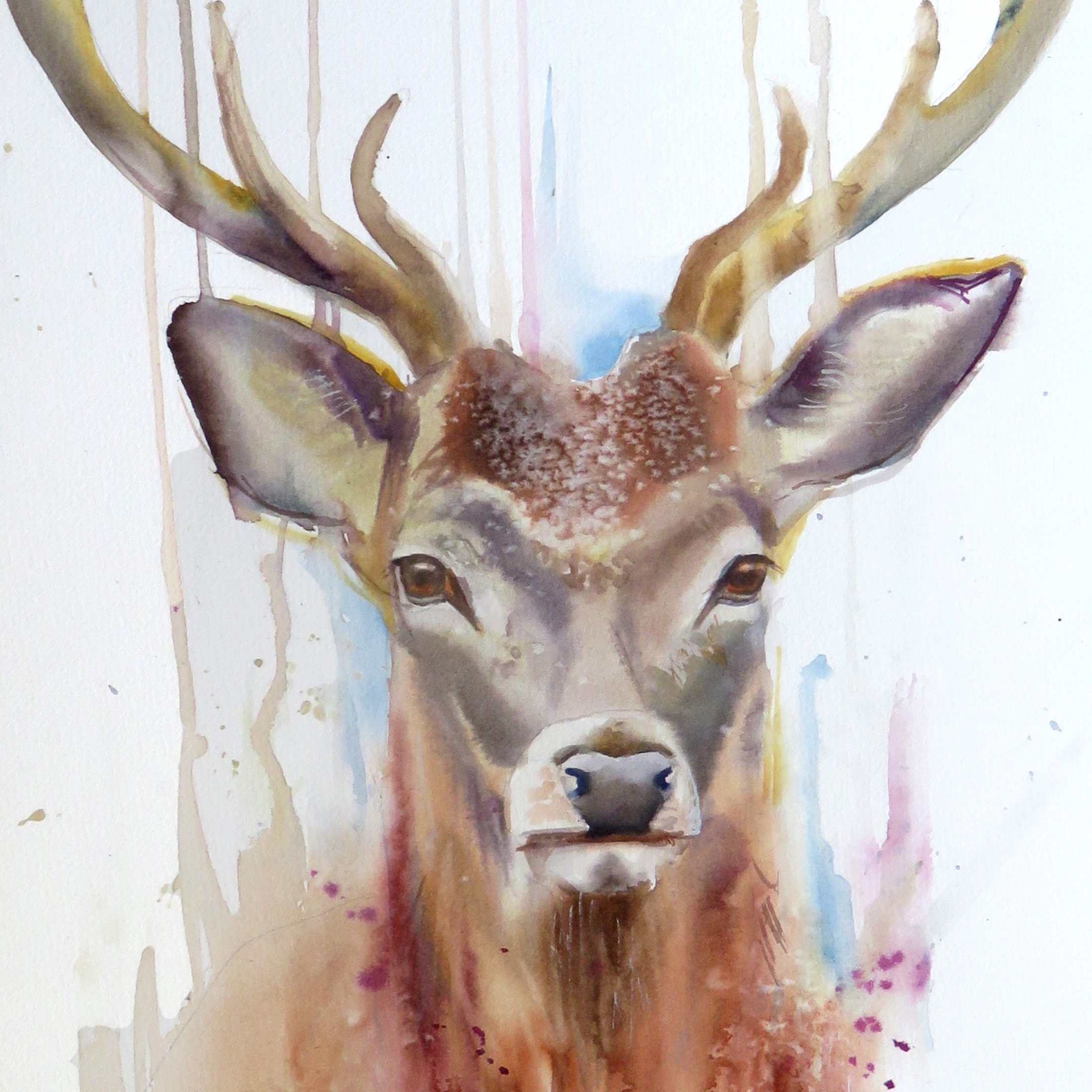 Autumn Stag