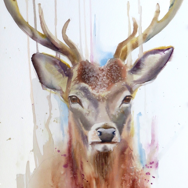 Autumn Stag