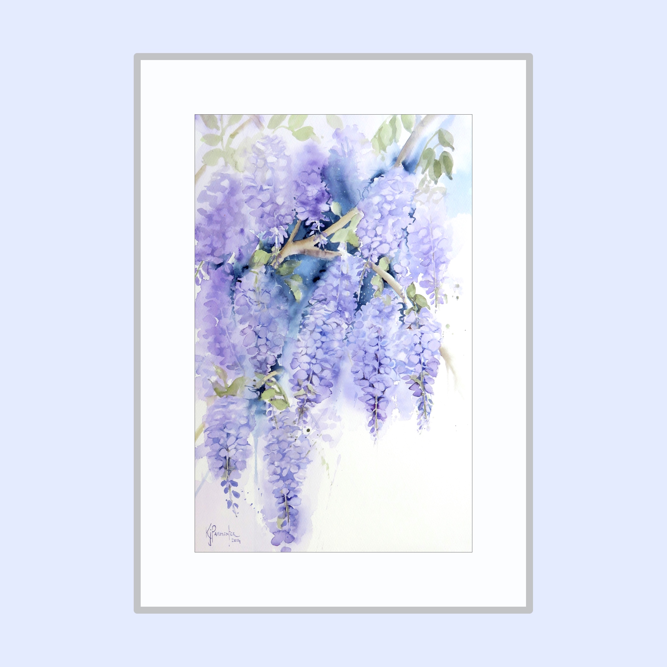 Wisteria Beauty