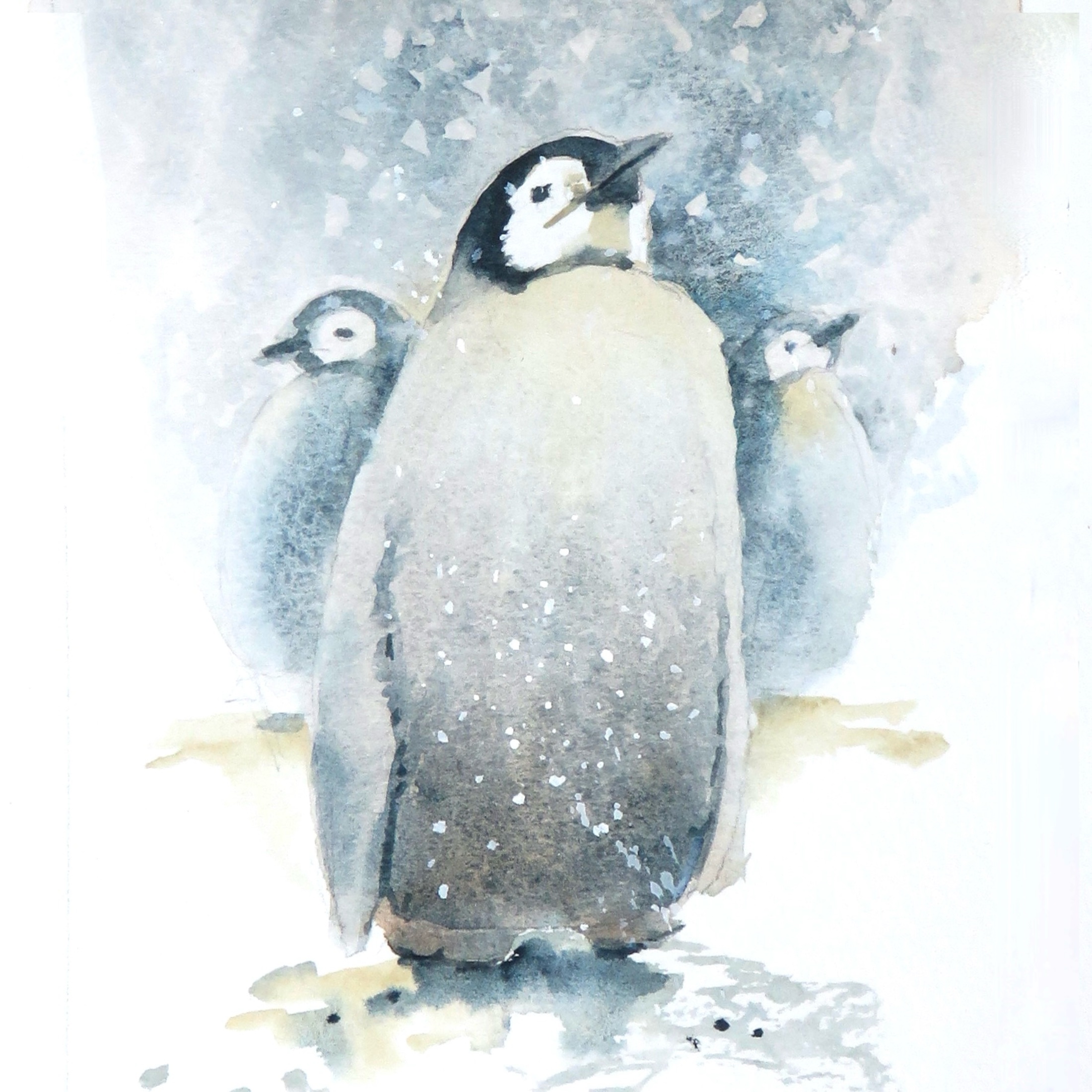 Penguin Chick – Card