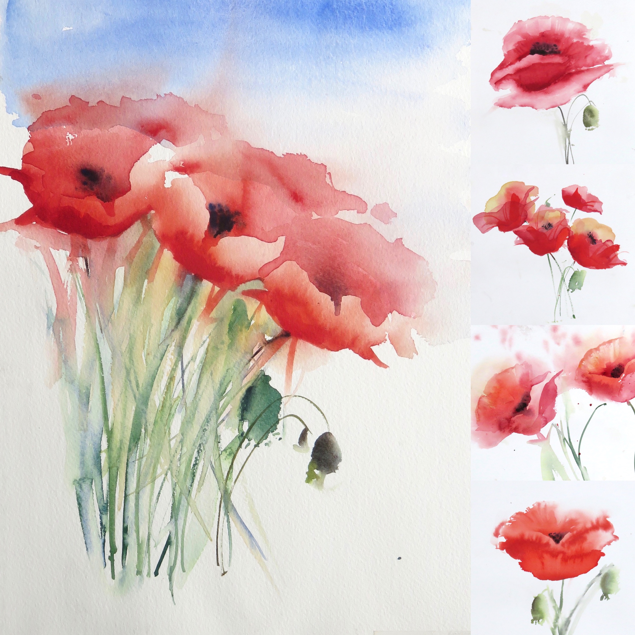 Five fabulous poppies – online tuition