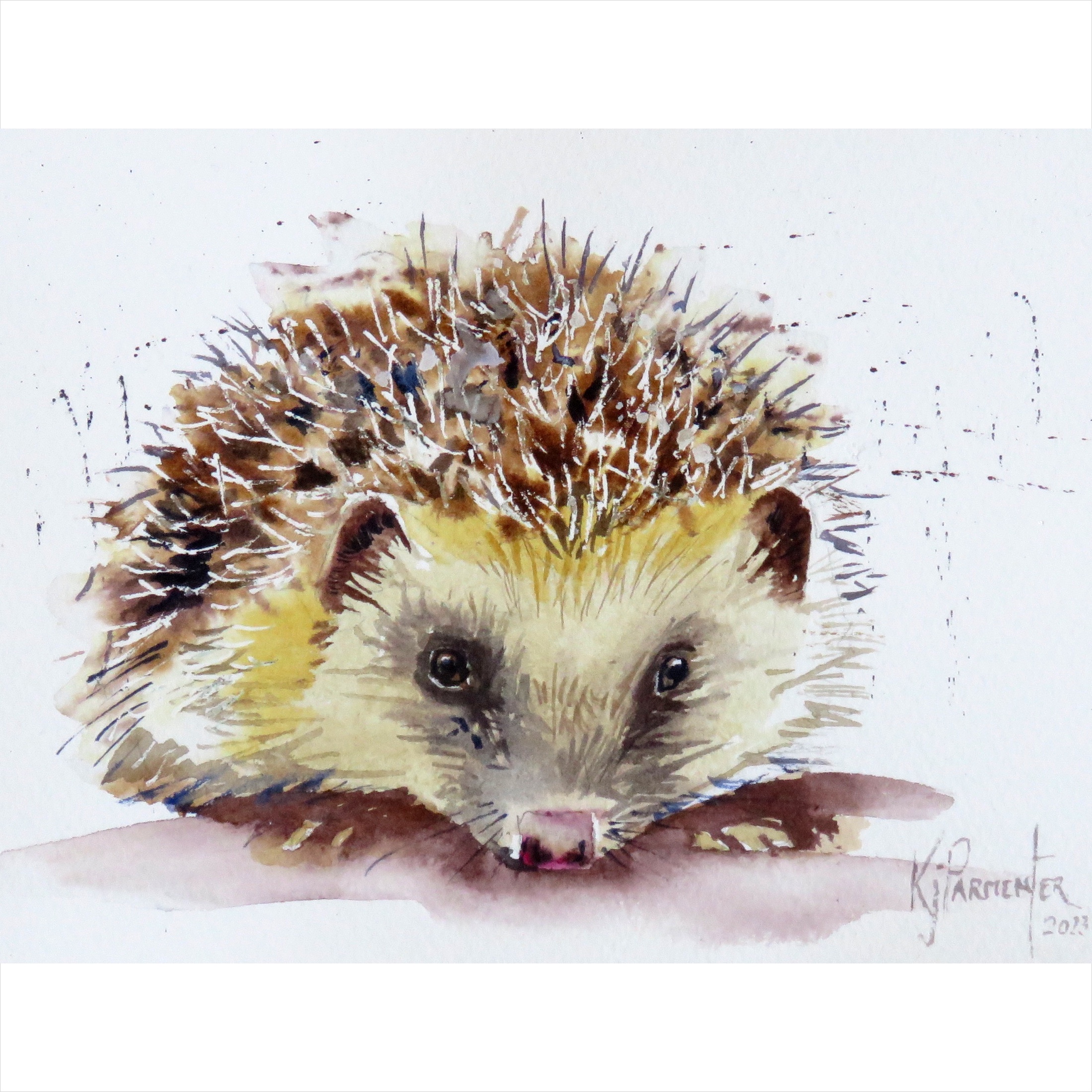 Hedgehogs – online tuition