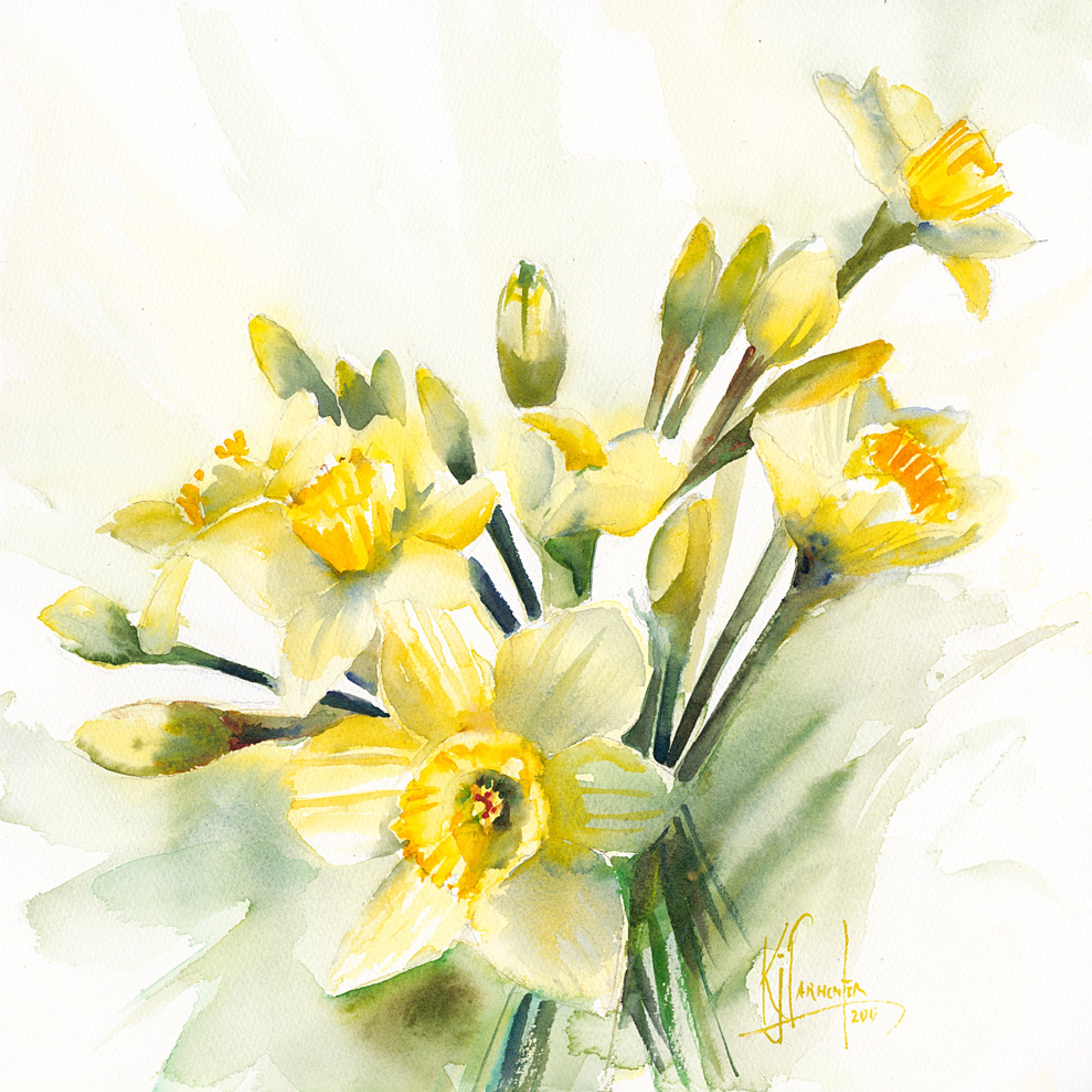 Daffodils – online tuition