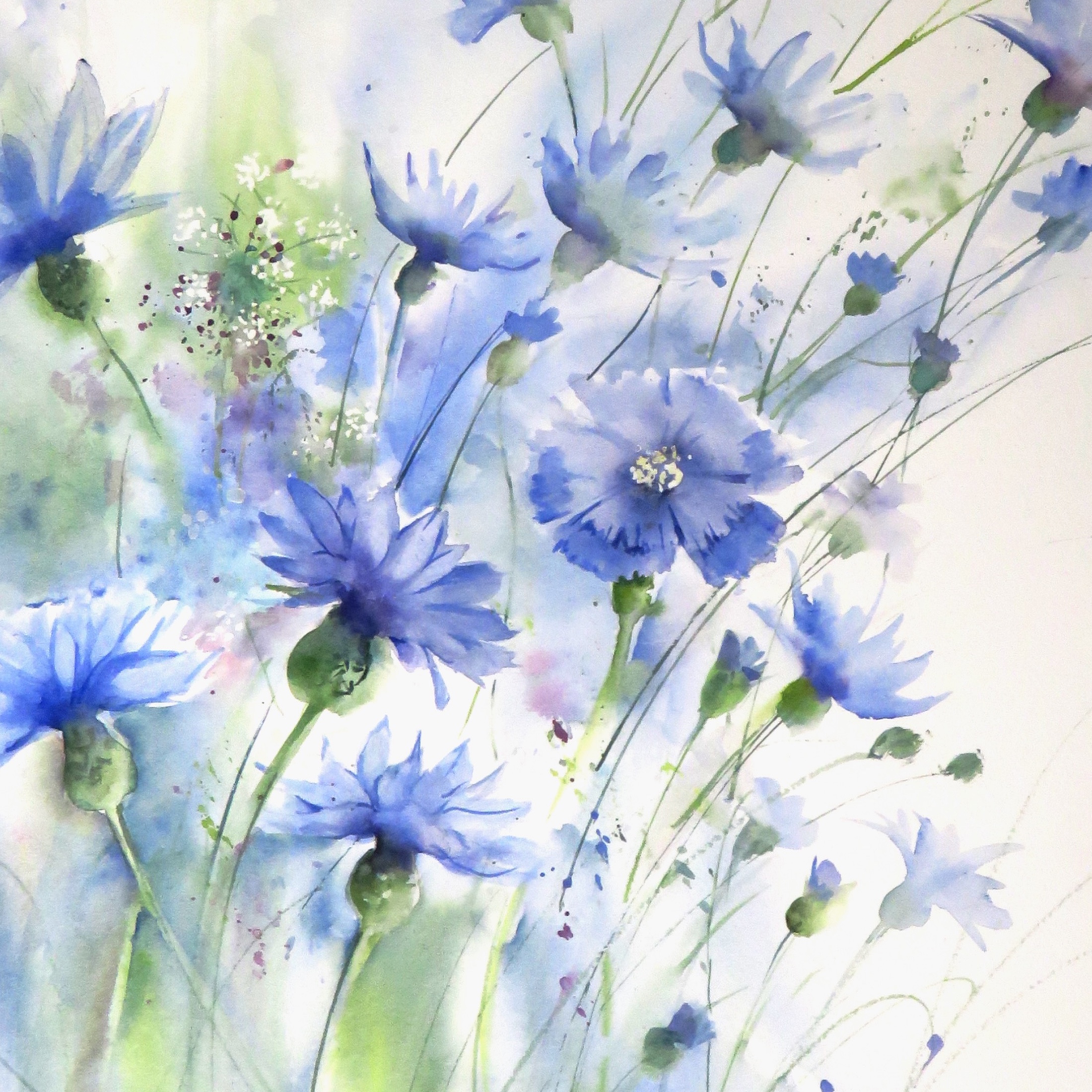 Cornflower Drift (sold)