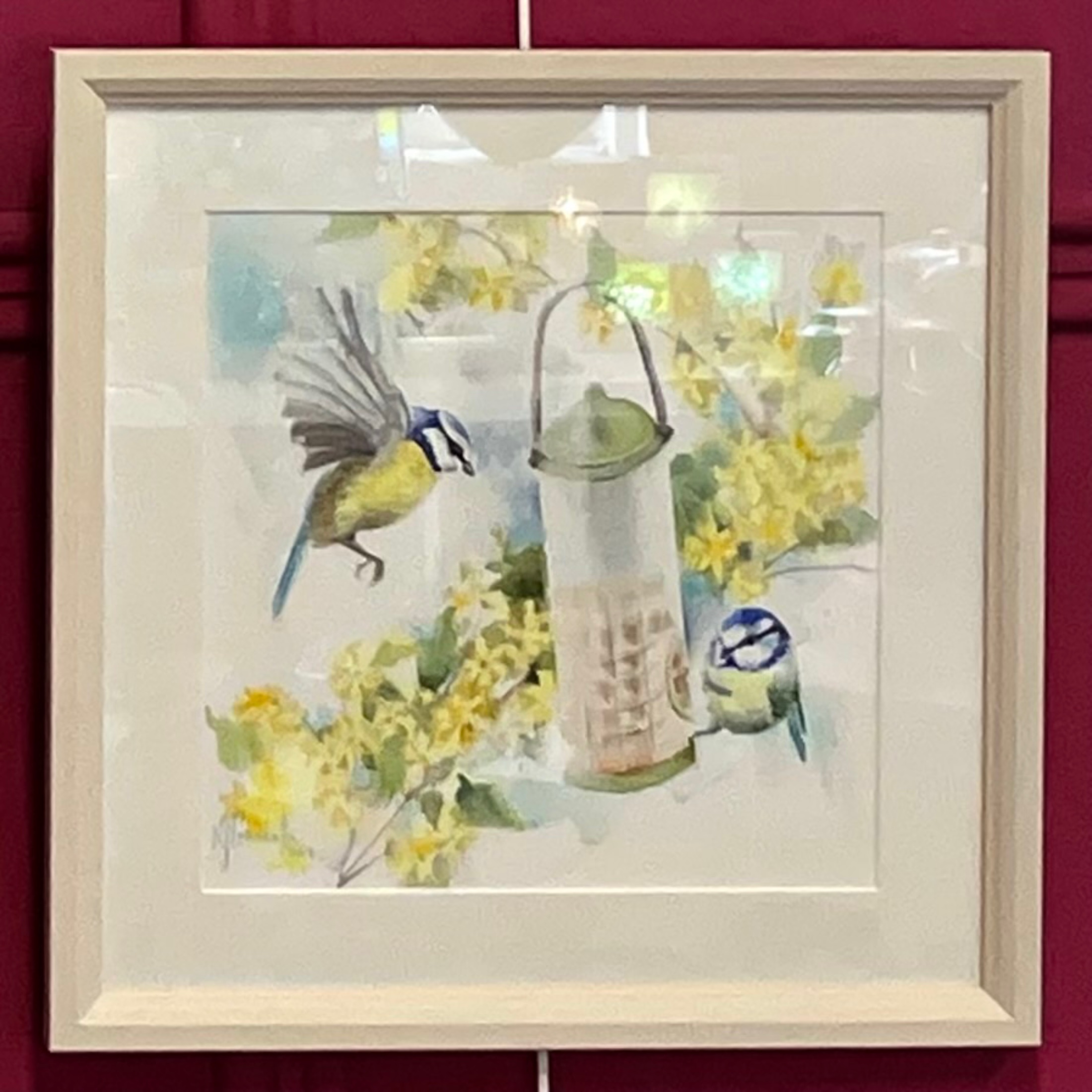 Bluetit and Forsythia