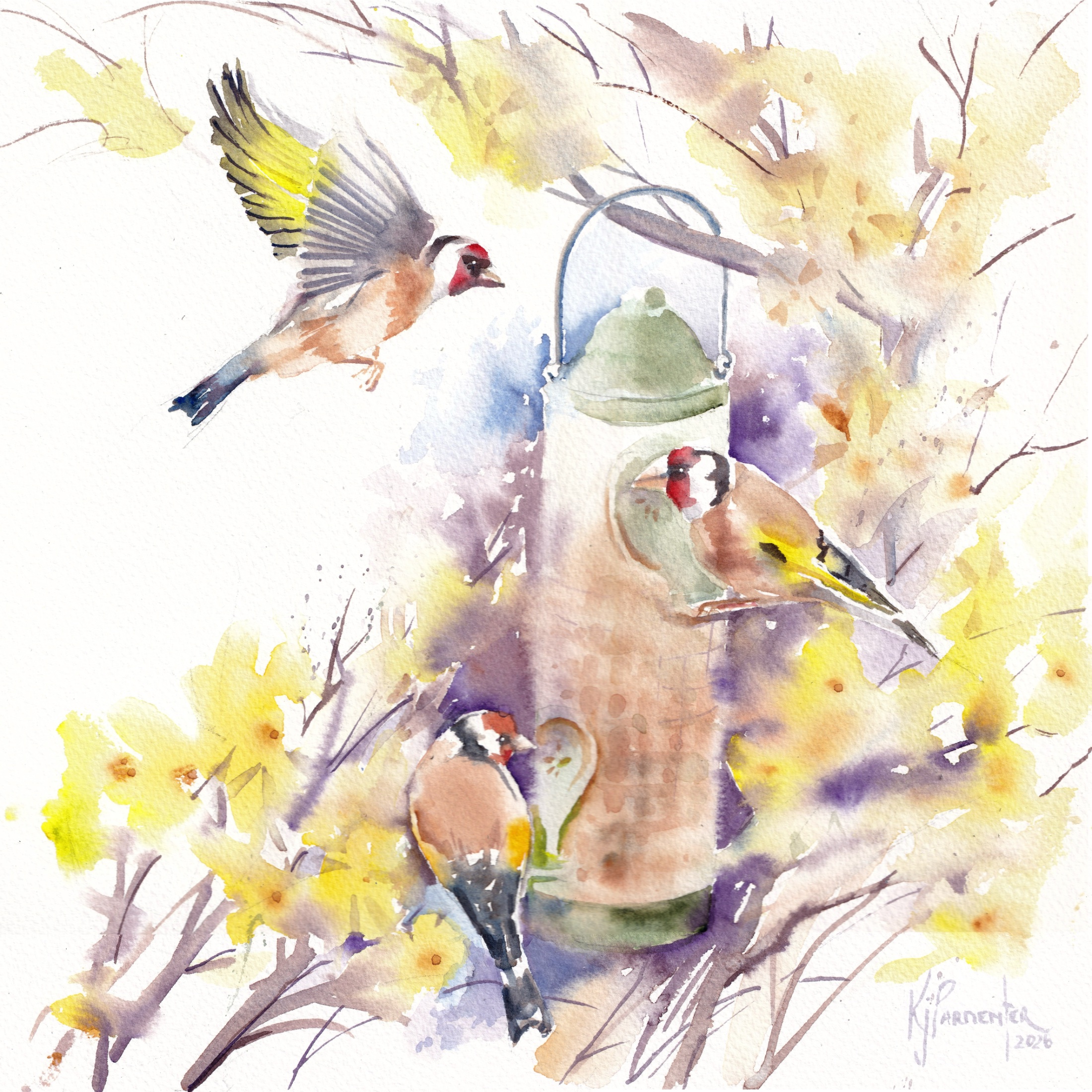 Goldfinch and Laburnham