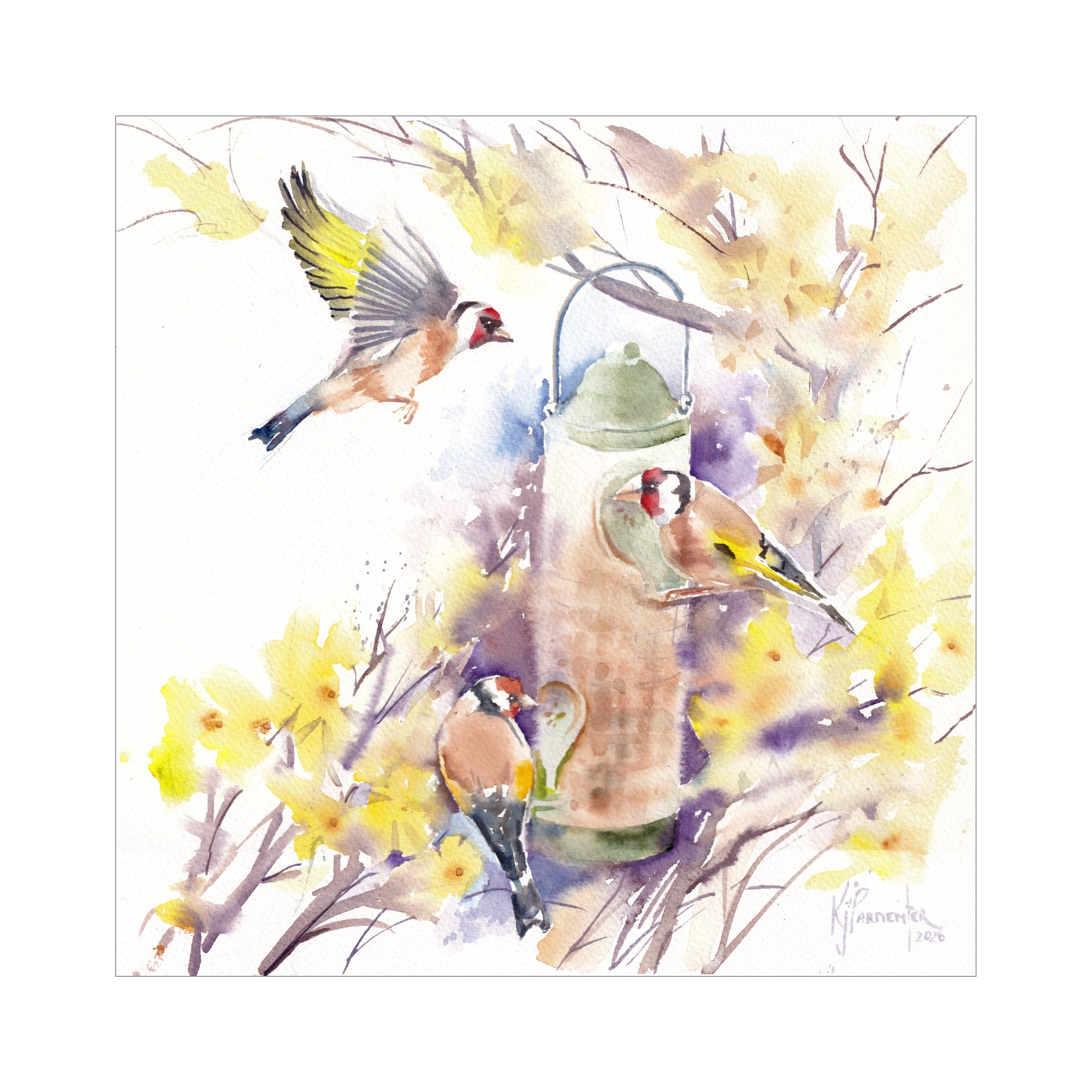 Goldfinch and Laburnham