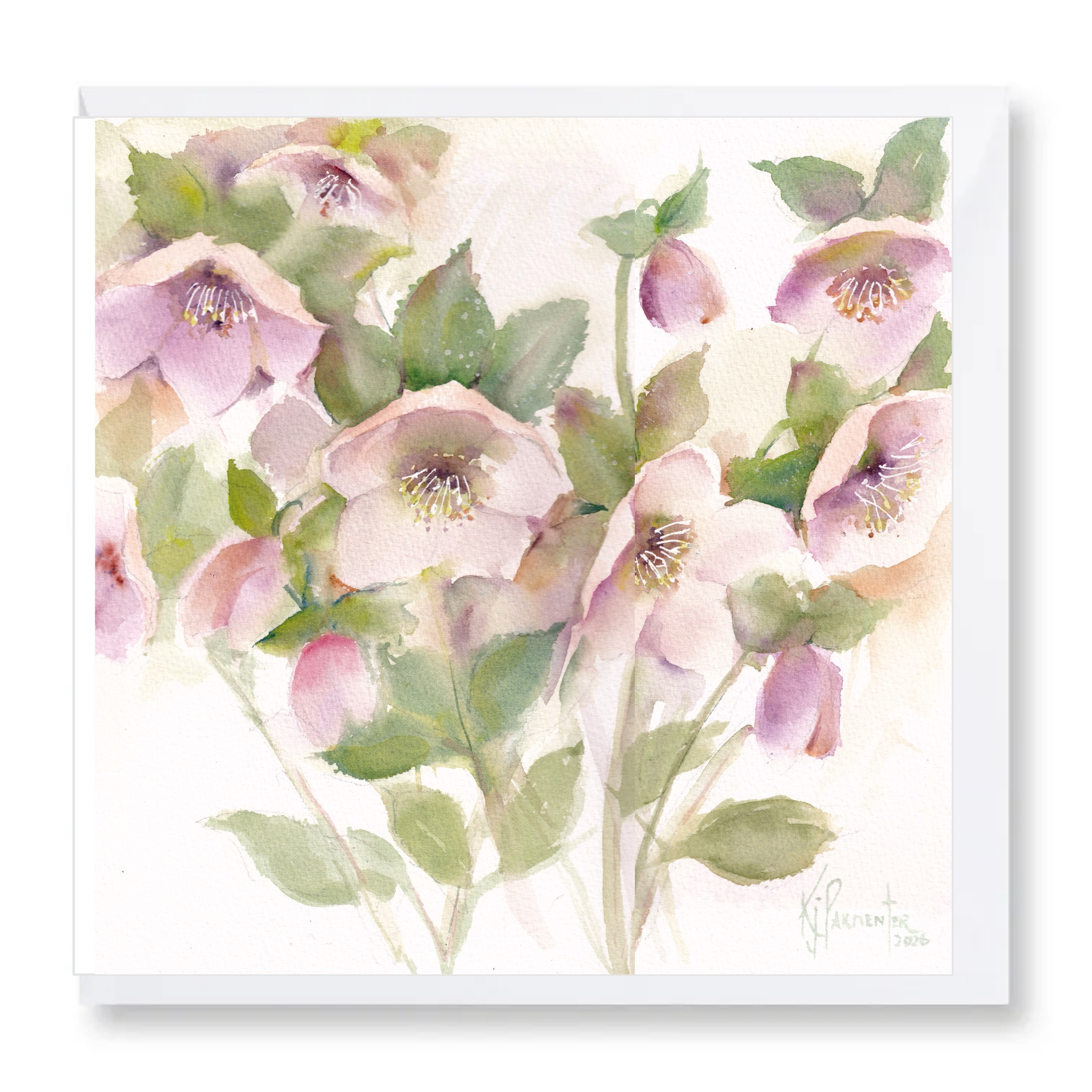Hellebore Awakening card