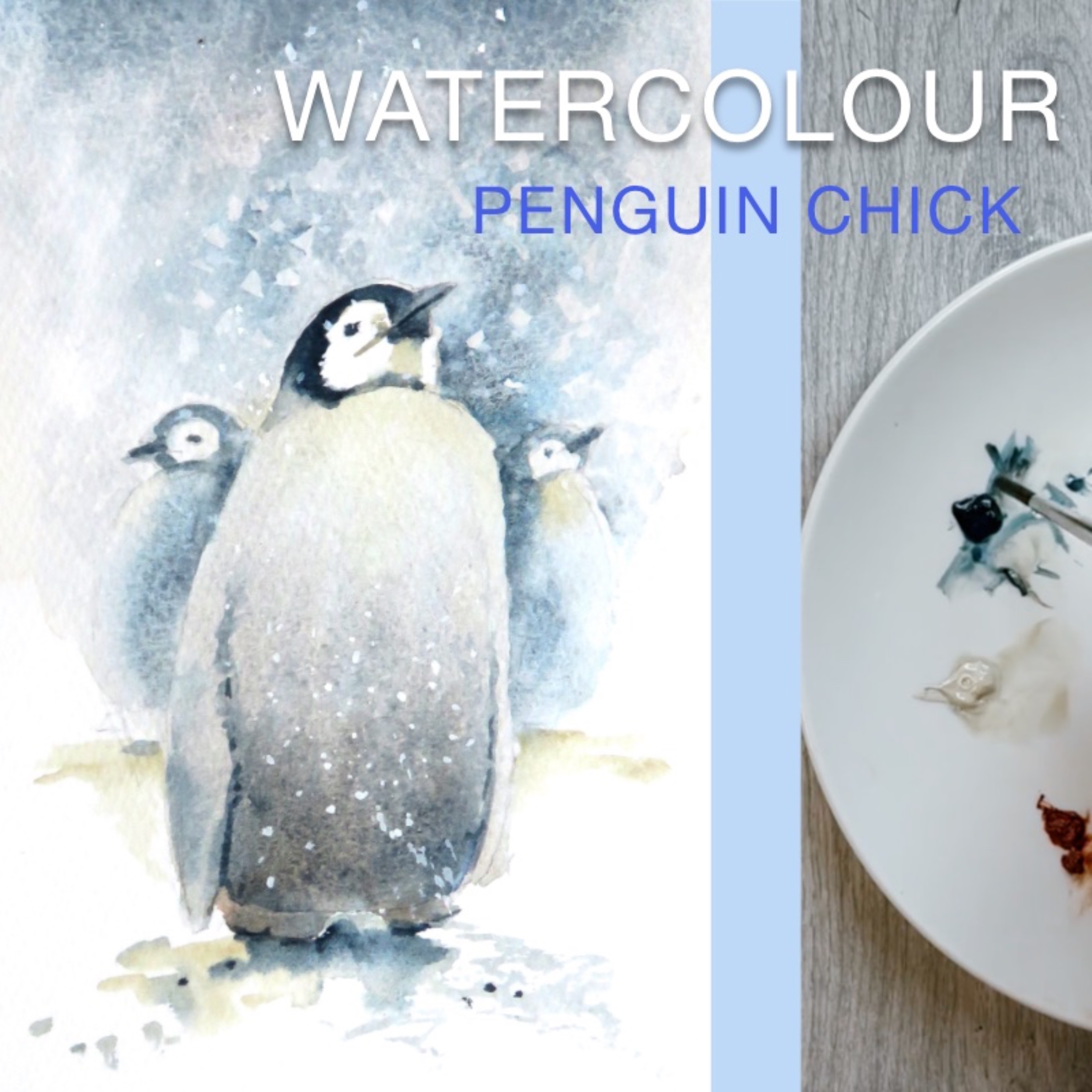 Penguin chick online tuition