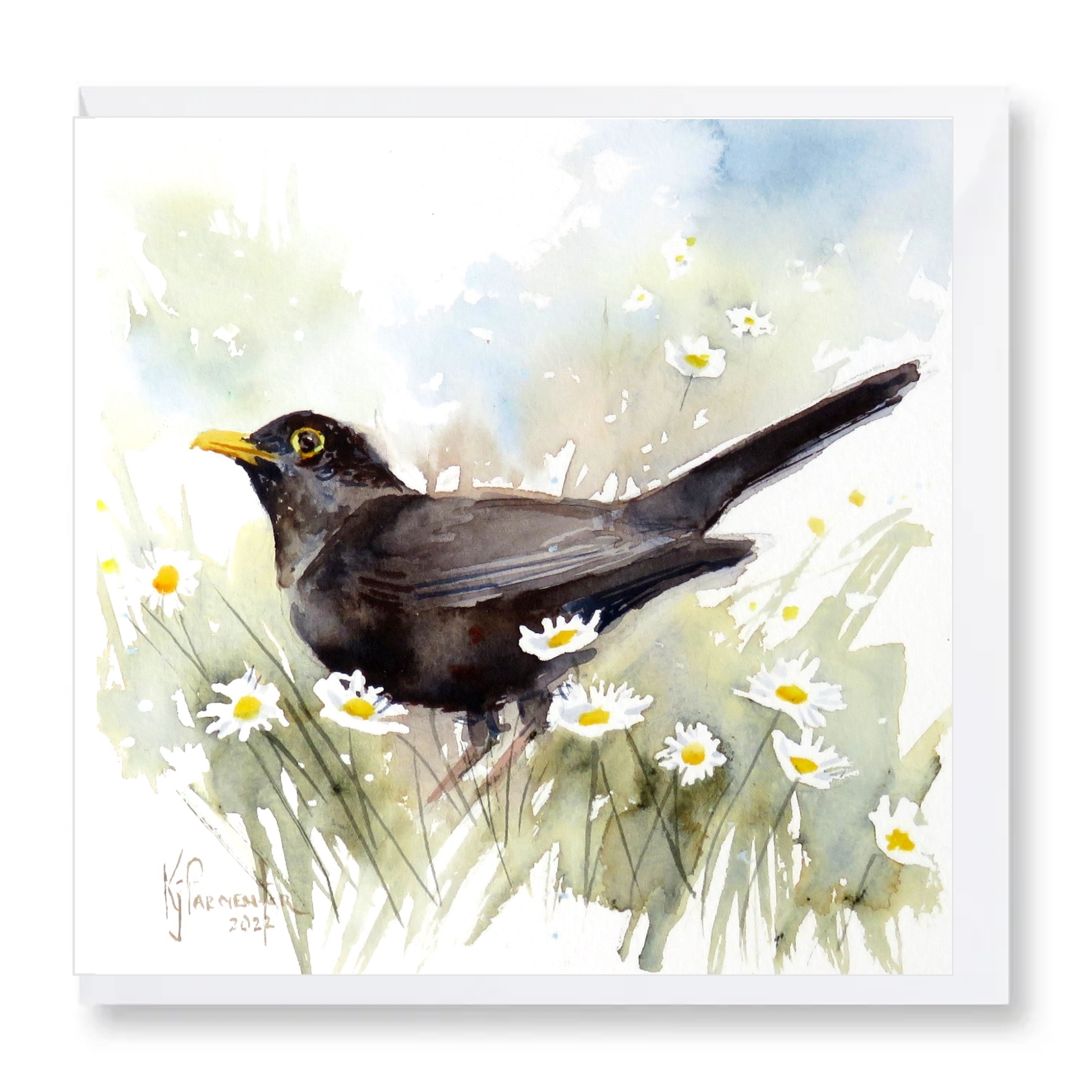 Blackbird and Daisies Card