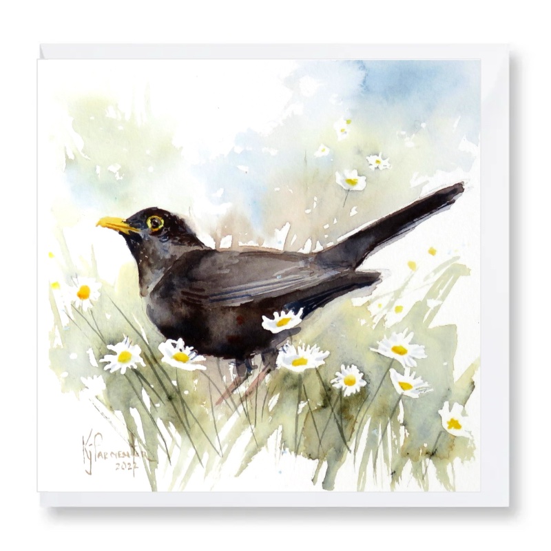Blackbird and Daisies Card