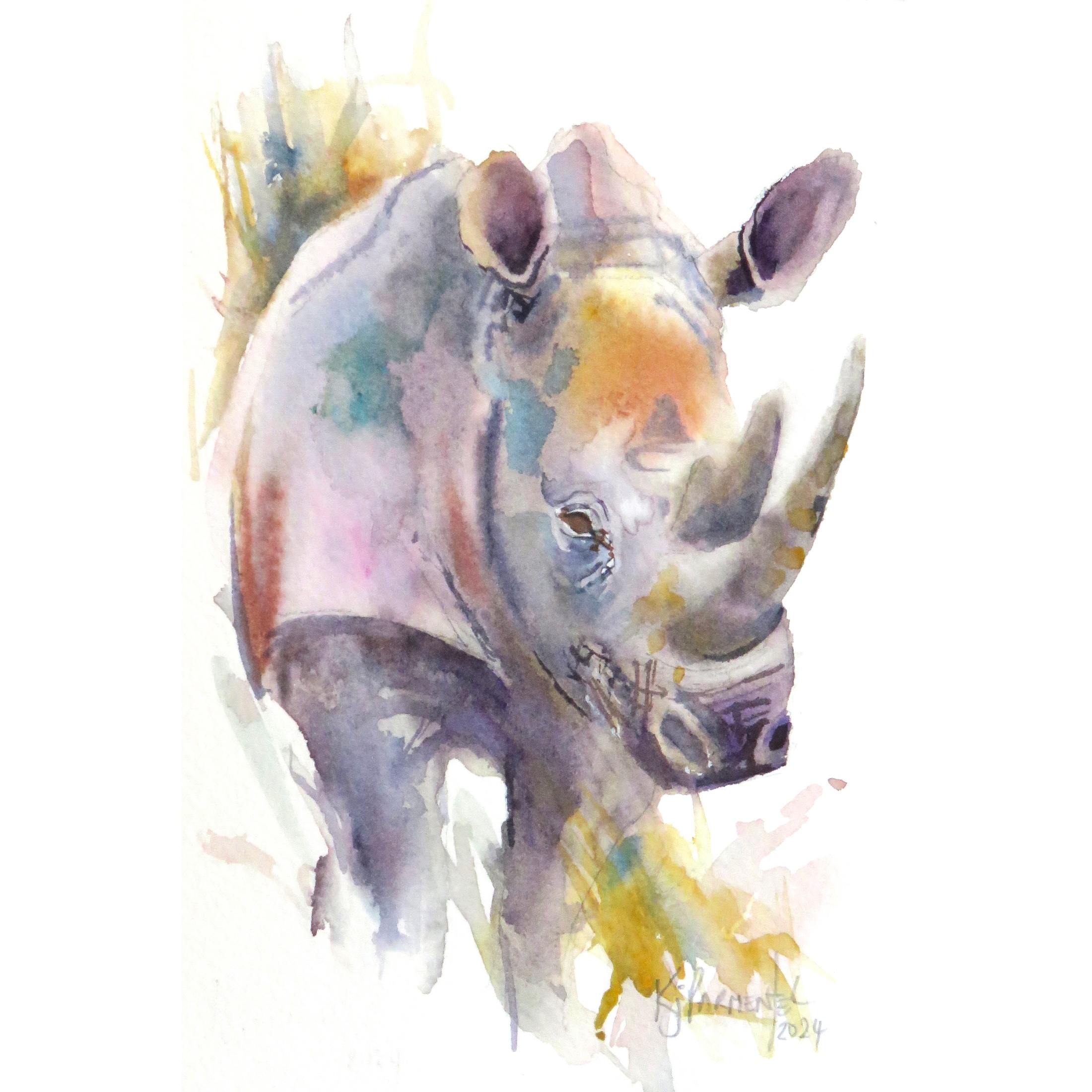 Rhino – Card