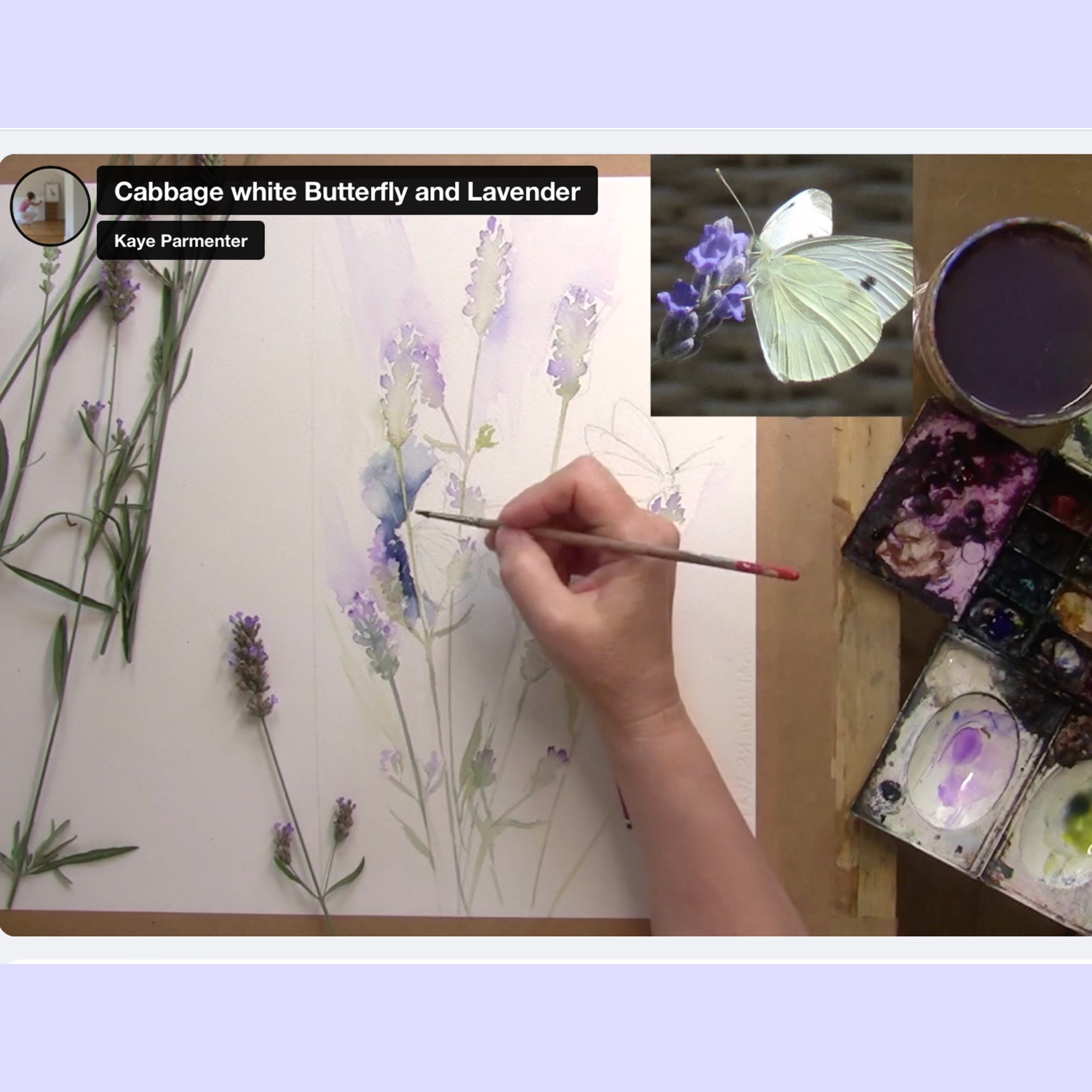 Lavender and Butterfly – online tuition