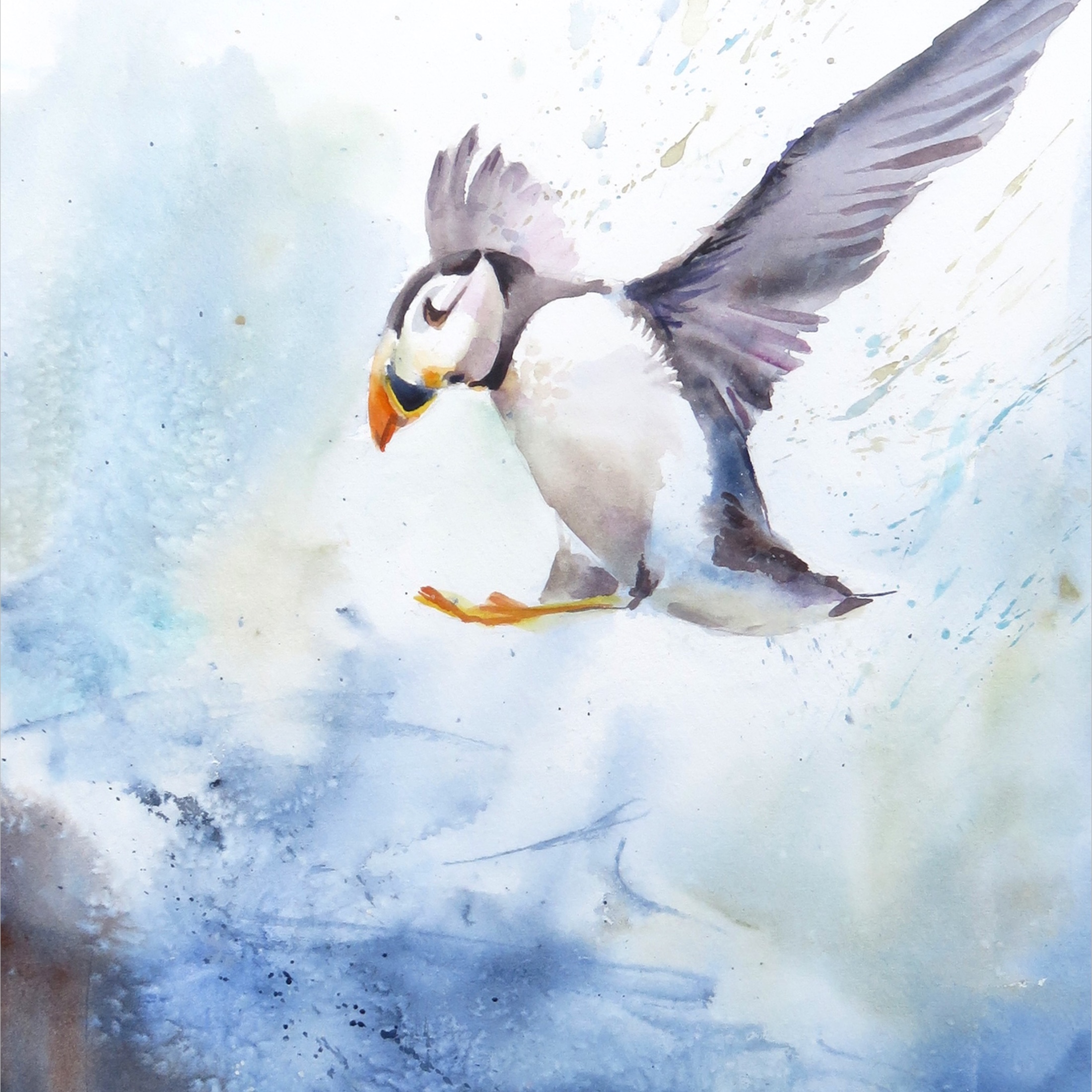 Puffin Stormy Landing (Sold)