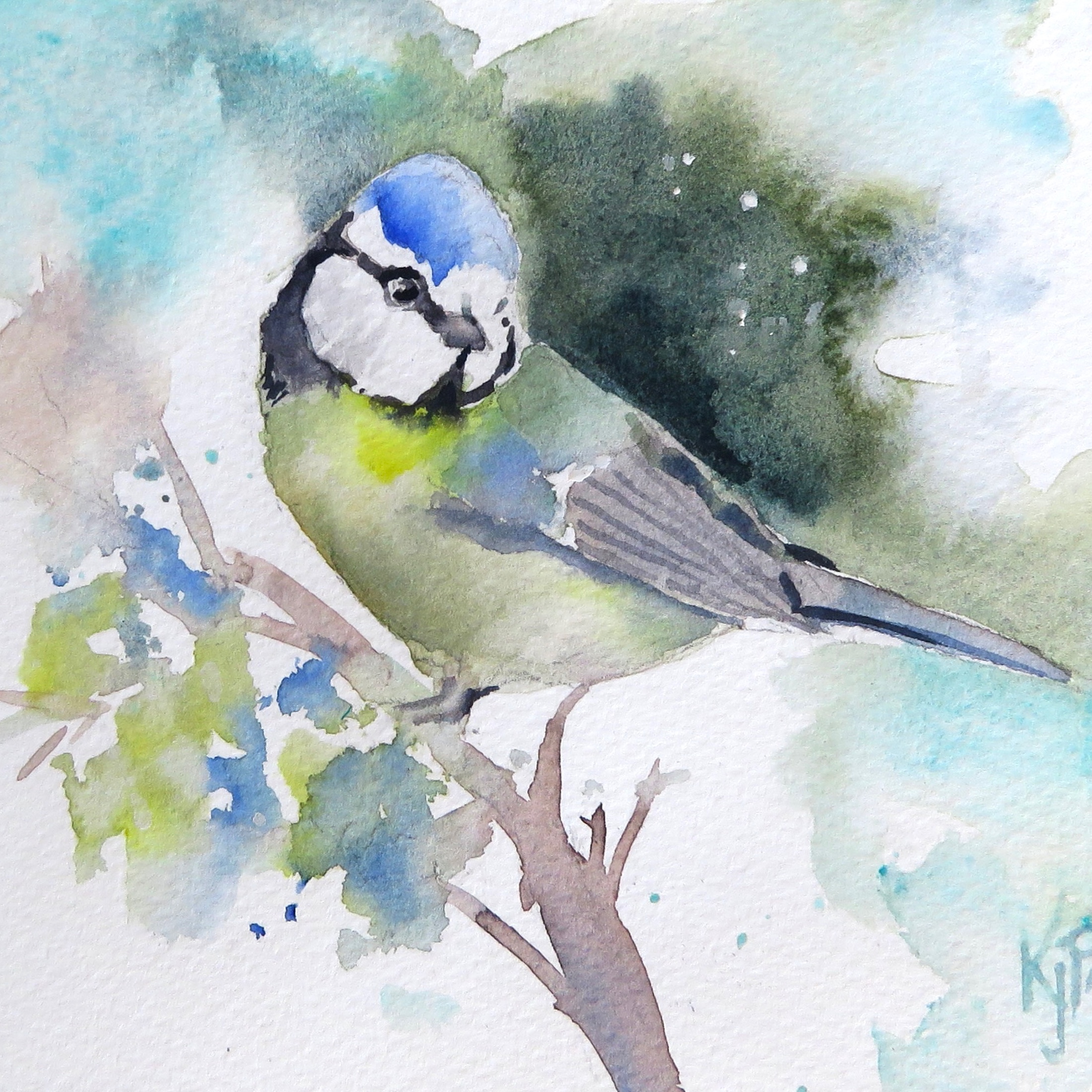 Bluetit – online tuition