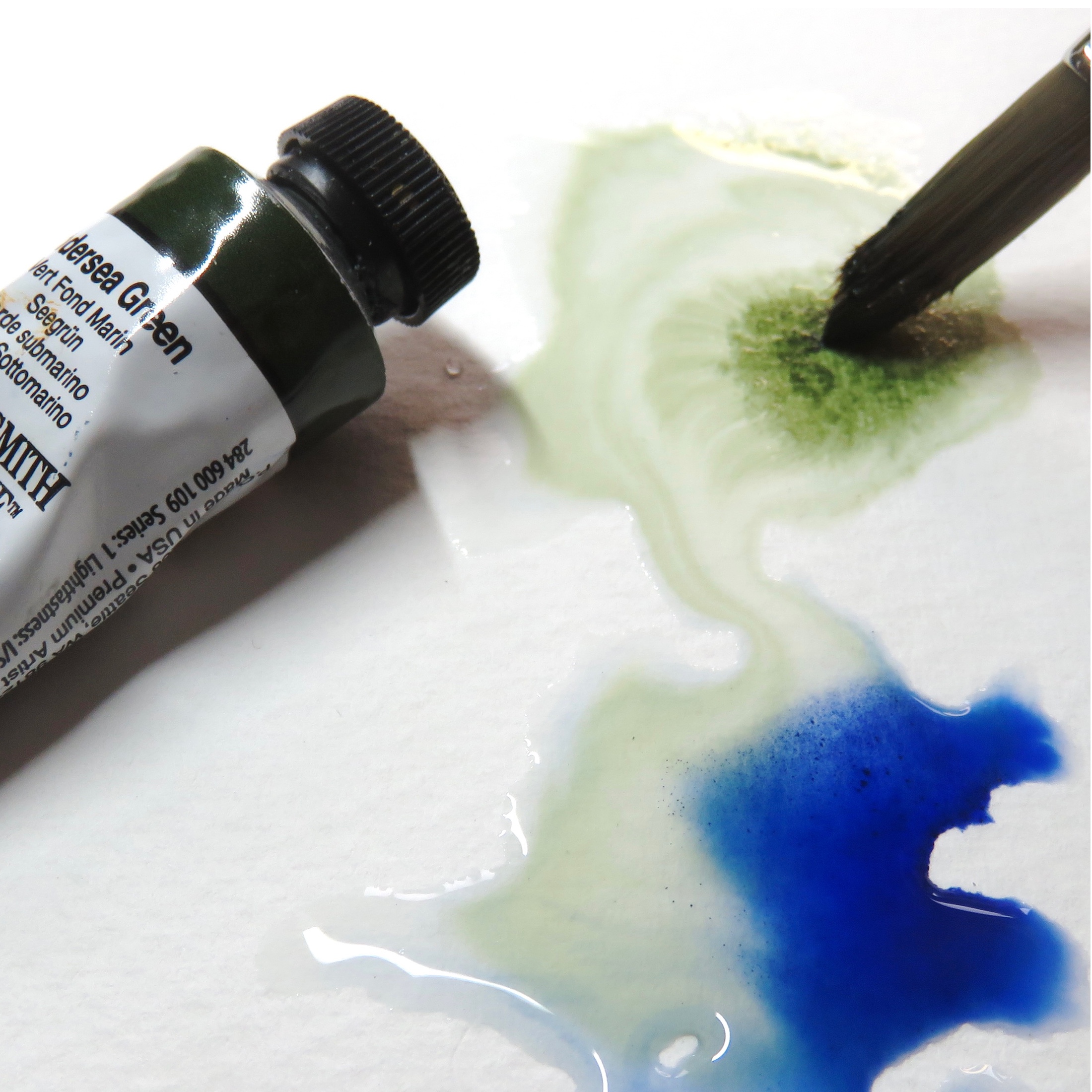 Bluetit – online tuition