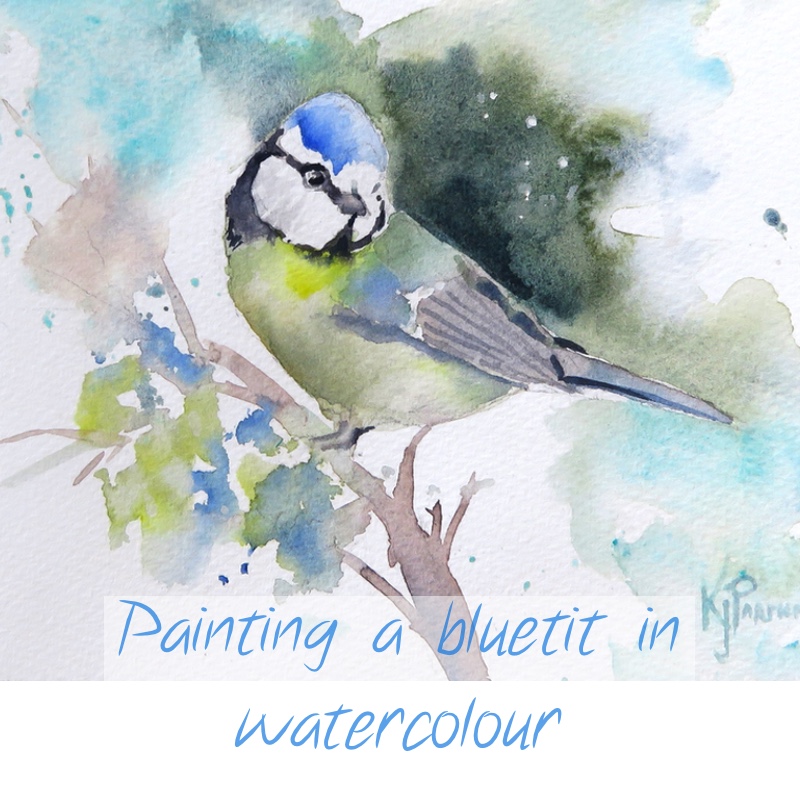 Bluetit – online tuition